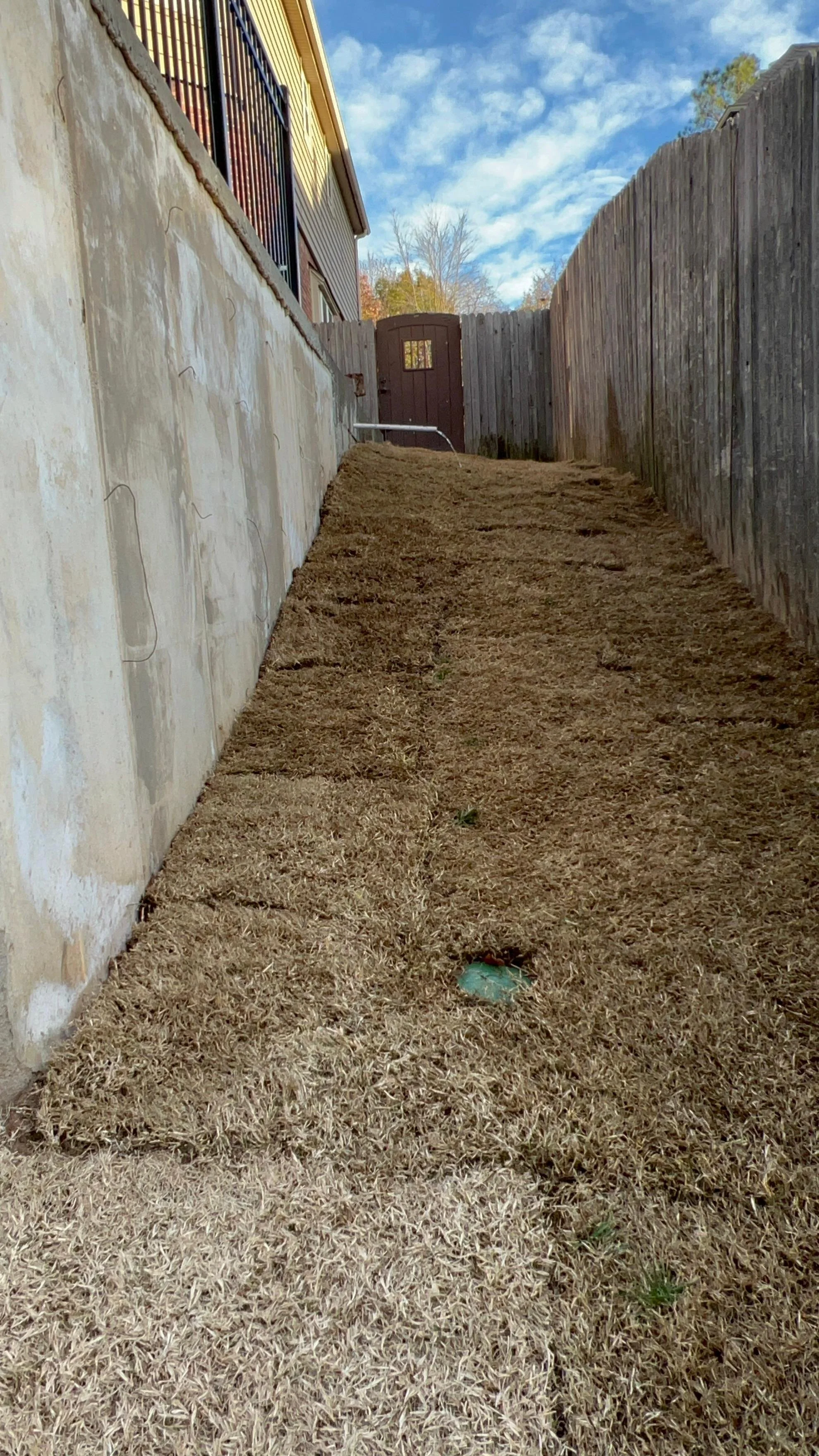 WhatsApp Image 2025-12-11 at 17.02.25 (3).jpeg