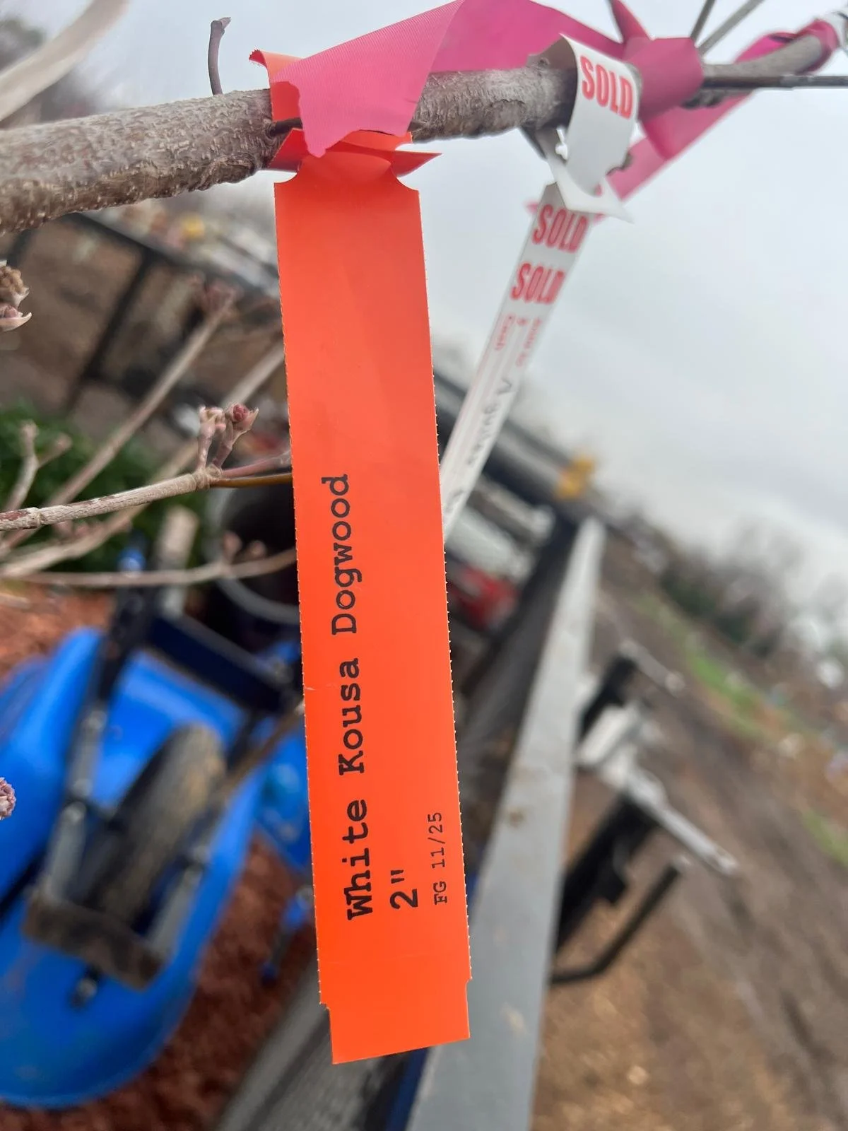 WhatsApp Image 2026-03-06 at 09.15.50.jpeg