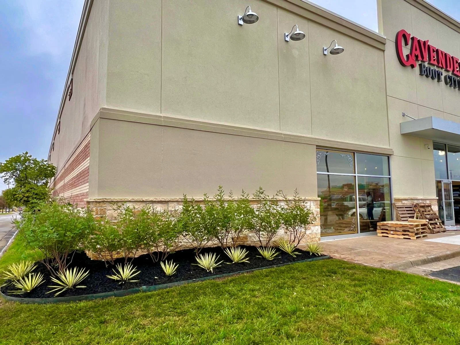 WhatsApp Image 2025-11-12 at 22.46.13.jpeg