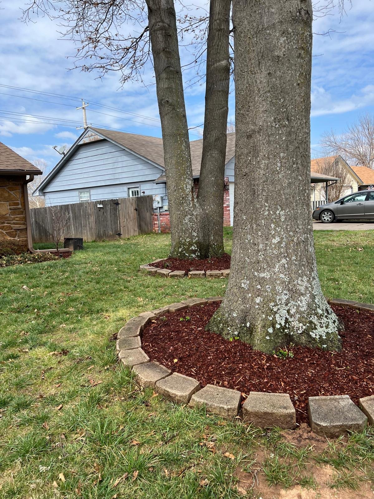 WhatsApp Image 2026-03-12 at 09.38.04 (2).jpeg