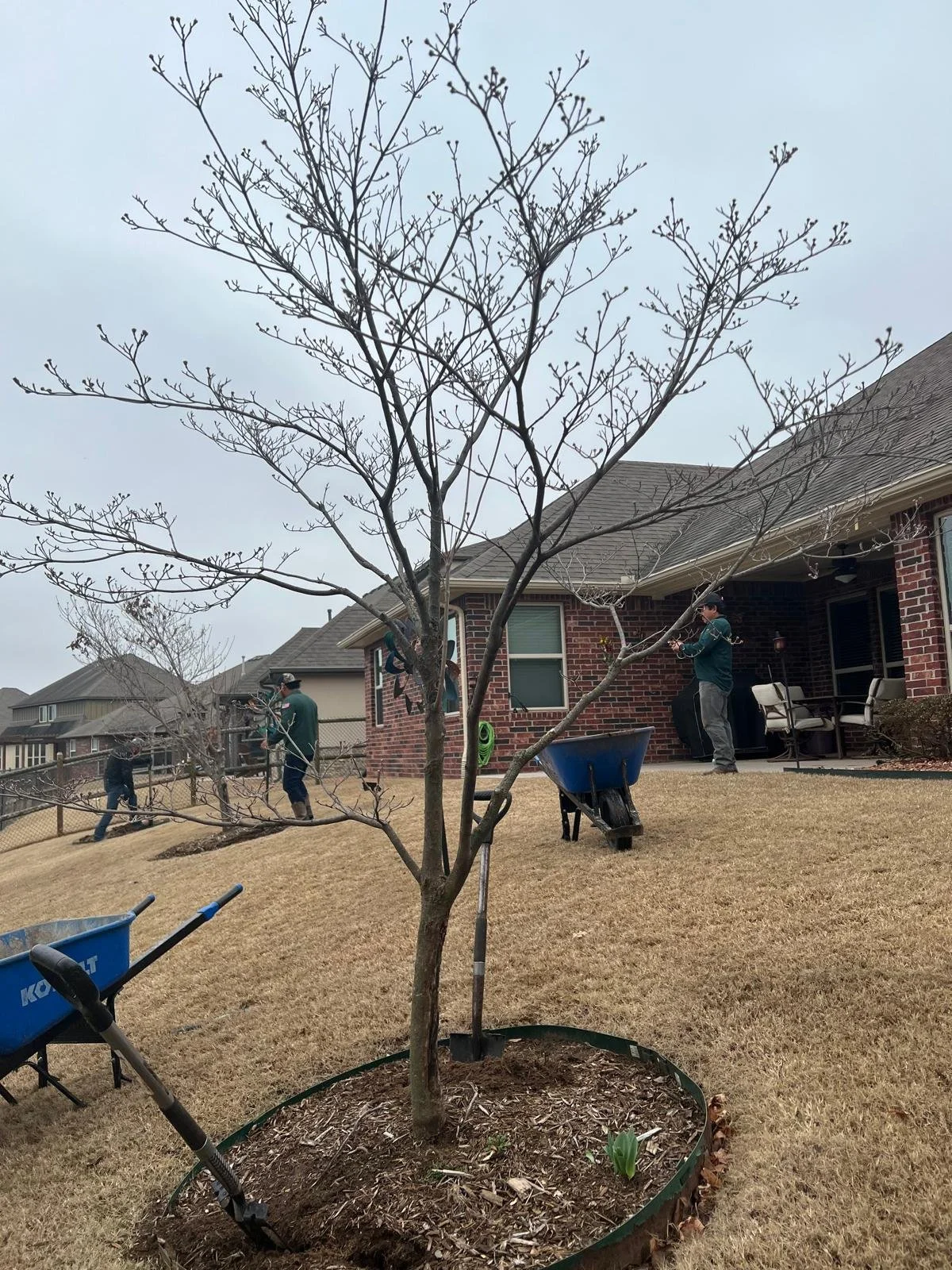 WhatsApp Image 2026-03-06 at 09.15.51 (1).jpeg