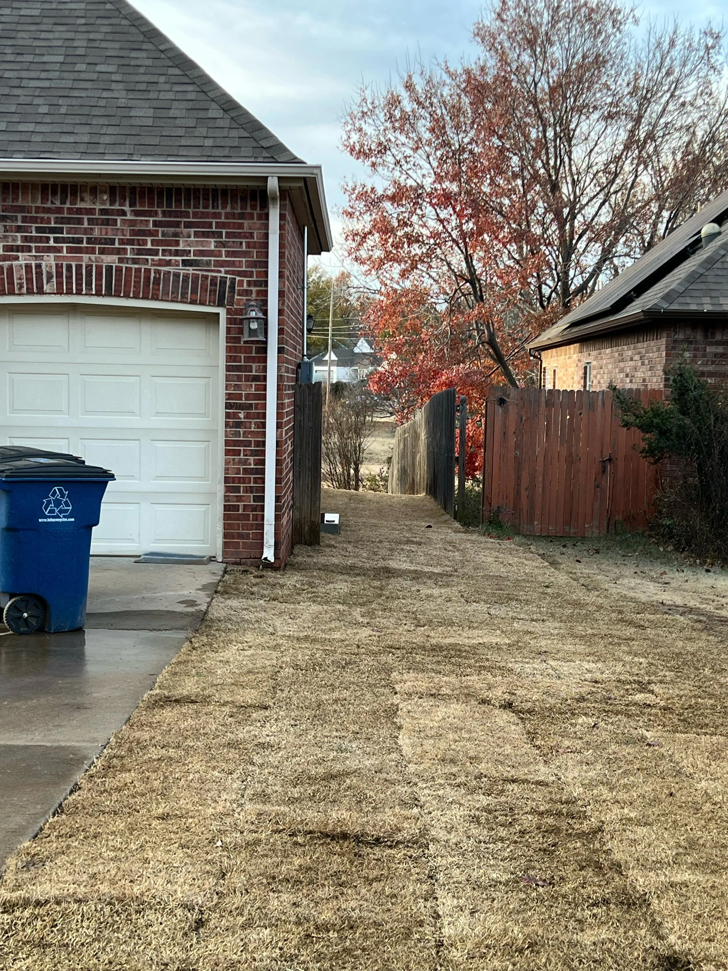 WhatsApp Image 2025-12-11 at 17.09.19.jpeg