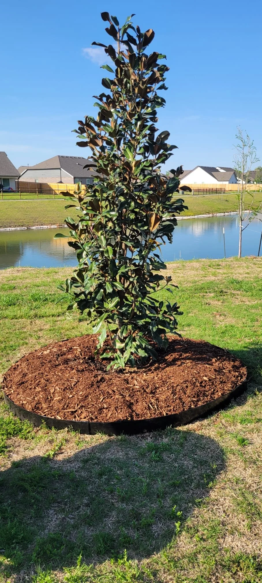 e40f7e4f-5c7f-471f-9cd9-a4dbf78fda75 3.JPG