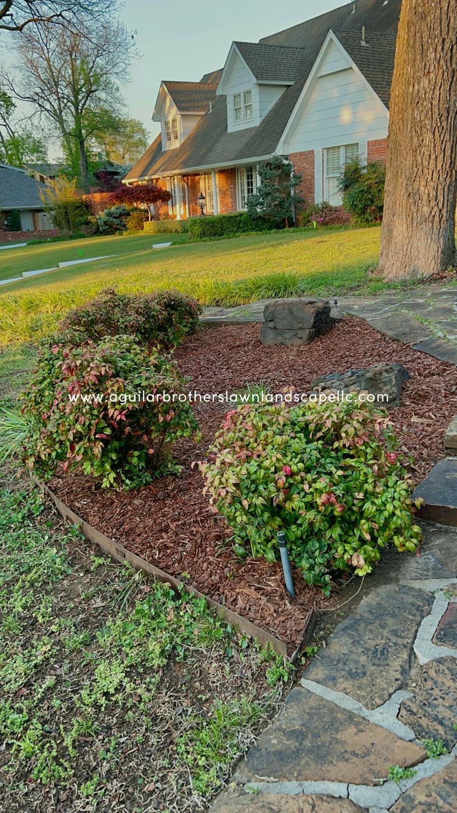 WhatsApp Image 2026-04-09 at 13.54.19 (3).jpeg