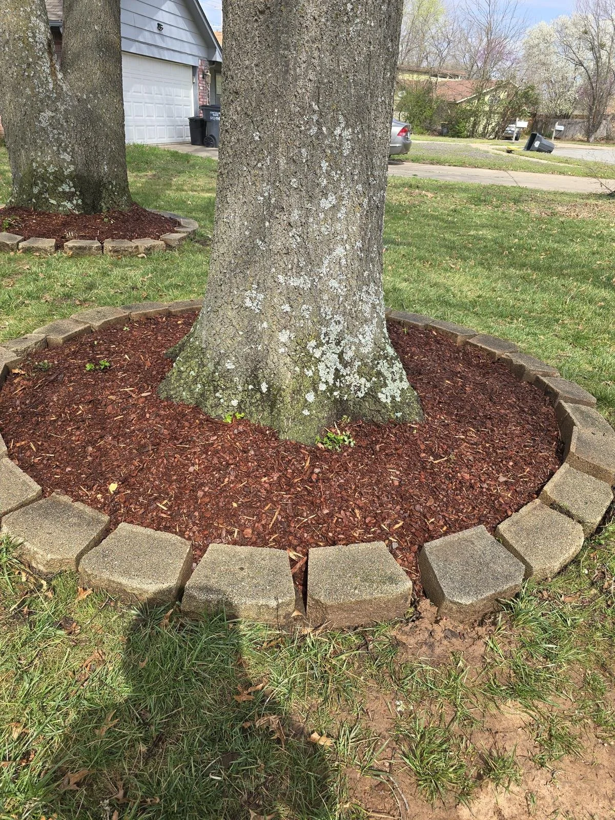 WhatsApp Image 2026-03-12 at 09.38.04 (3).jpeg