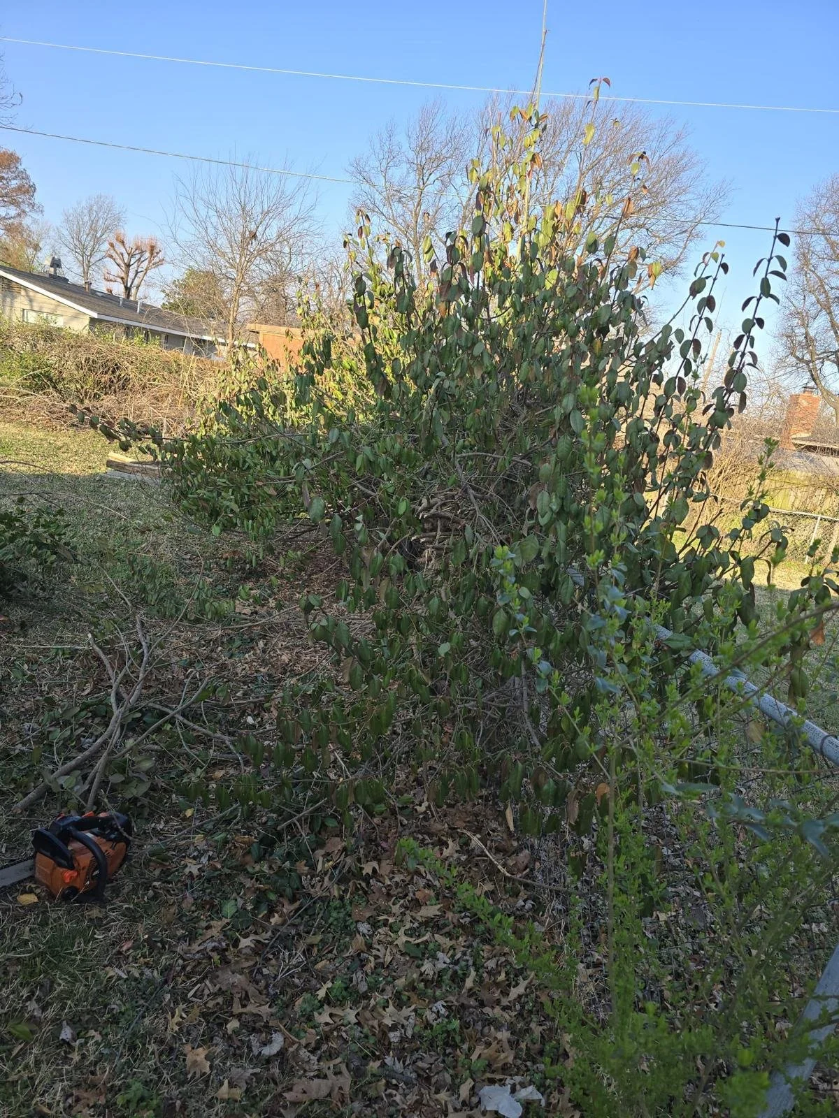 WhatsApp Image 2026-03-12 at 10.13.50.jpeg