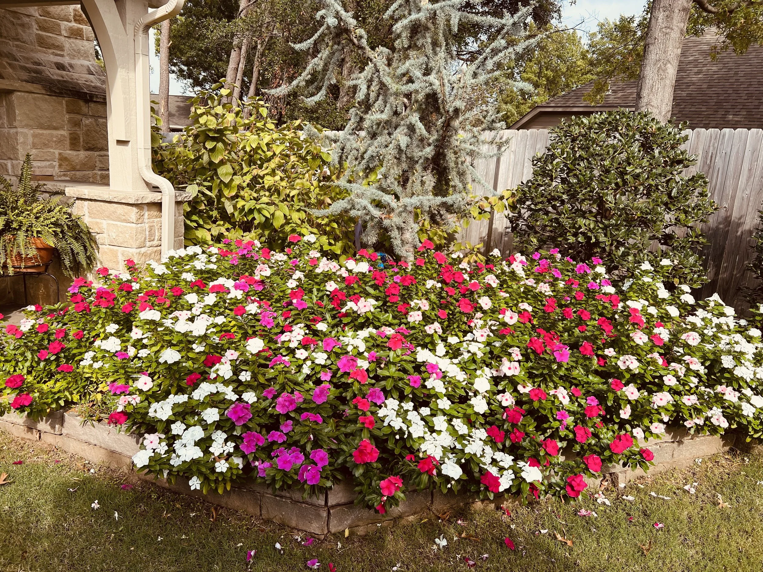 FullSizeRender 8.JPG