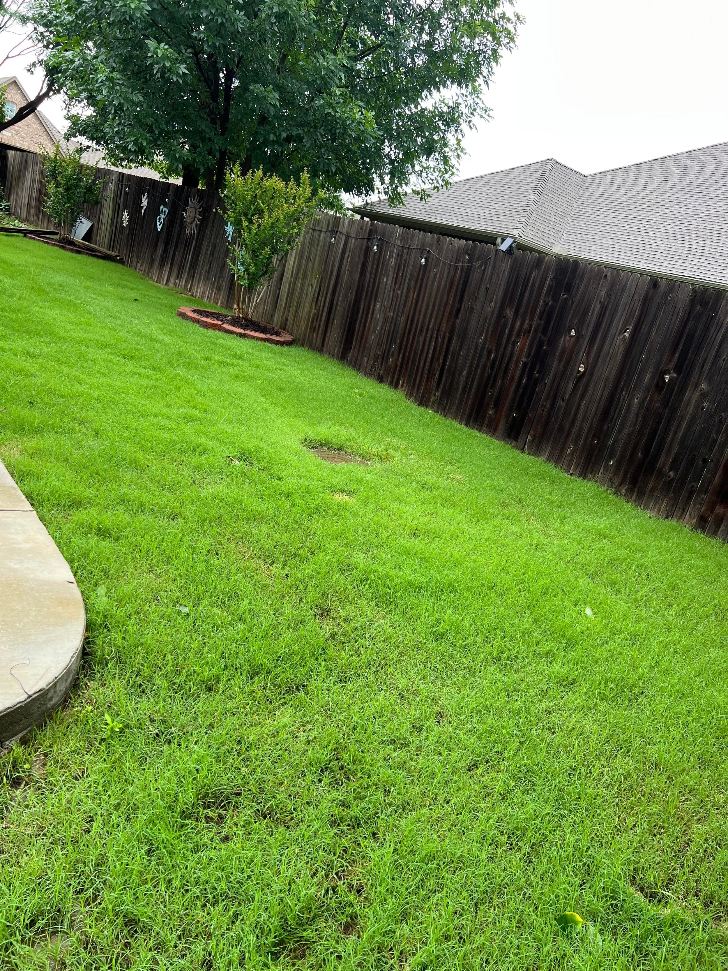 WhatsApp Image 2025-06-10 at 18.38.16.jpeg