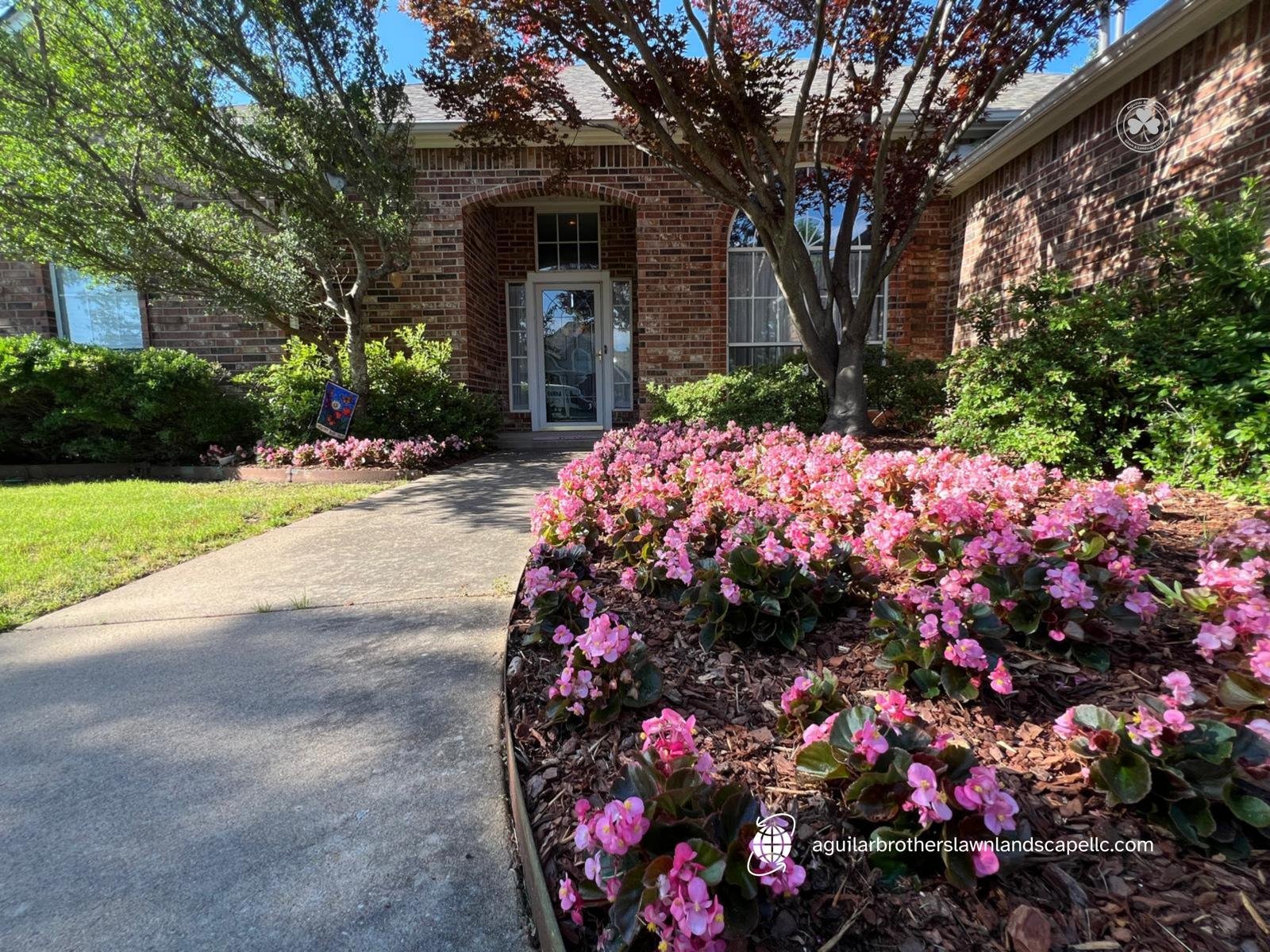 Front yard of a brick house with pink flowers lining sidewalk, green bushes, and trees, under a blue sky.
