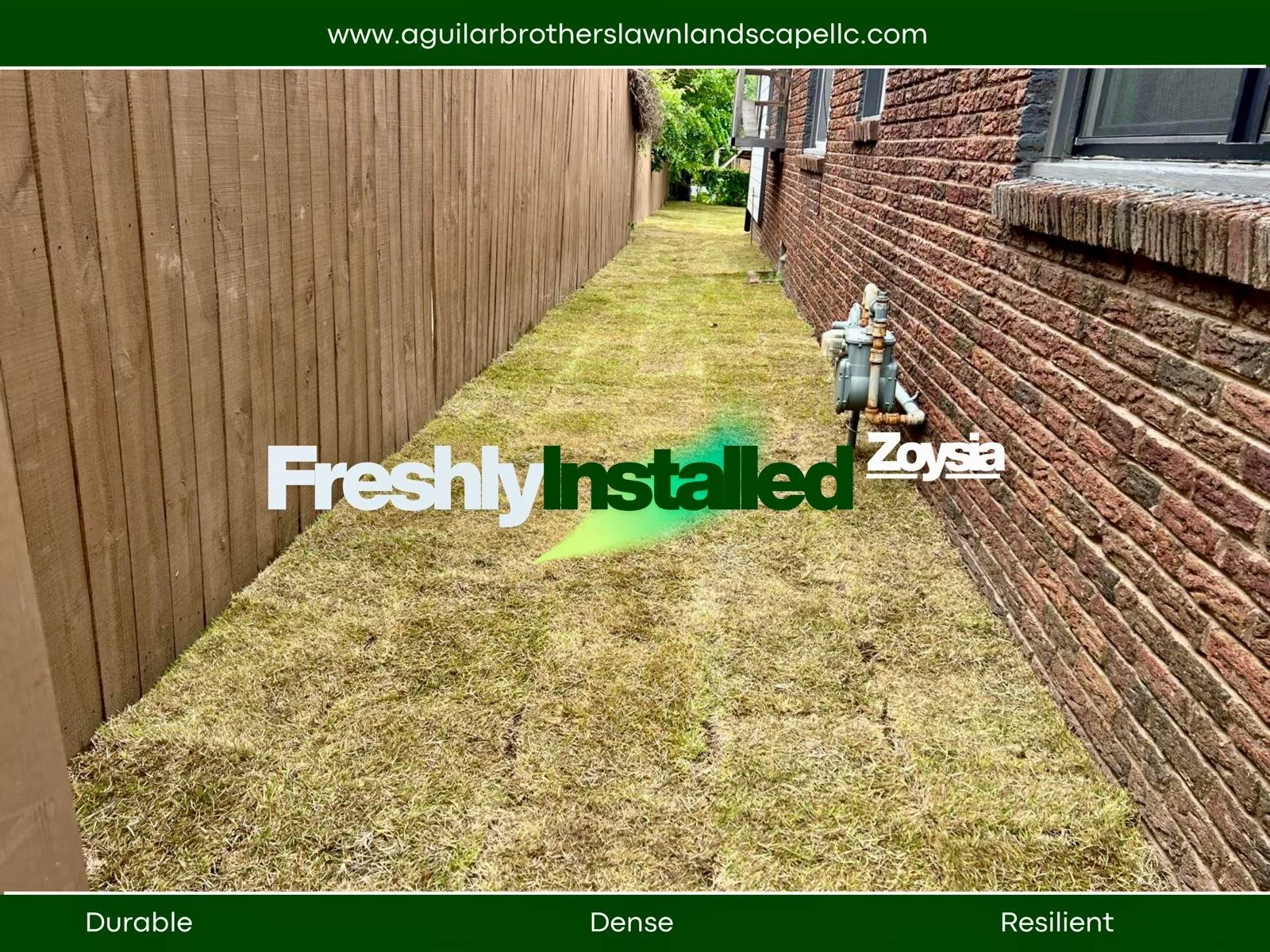 WhatsApp Image 2026-04-26 at 09.14.39.jpeg