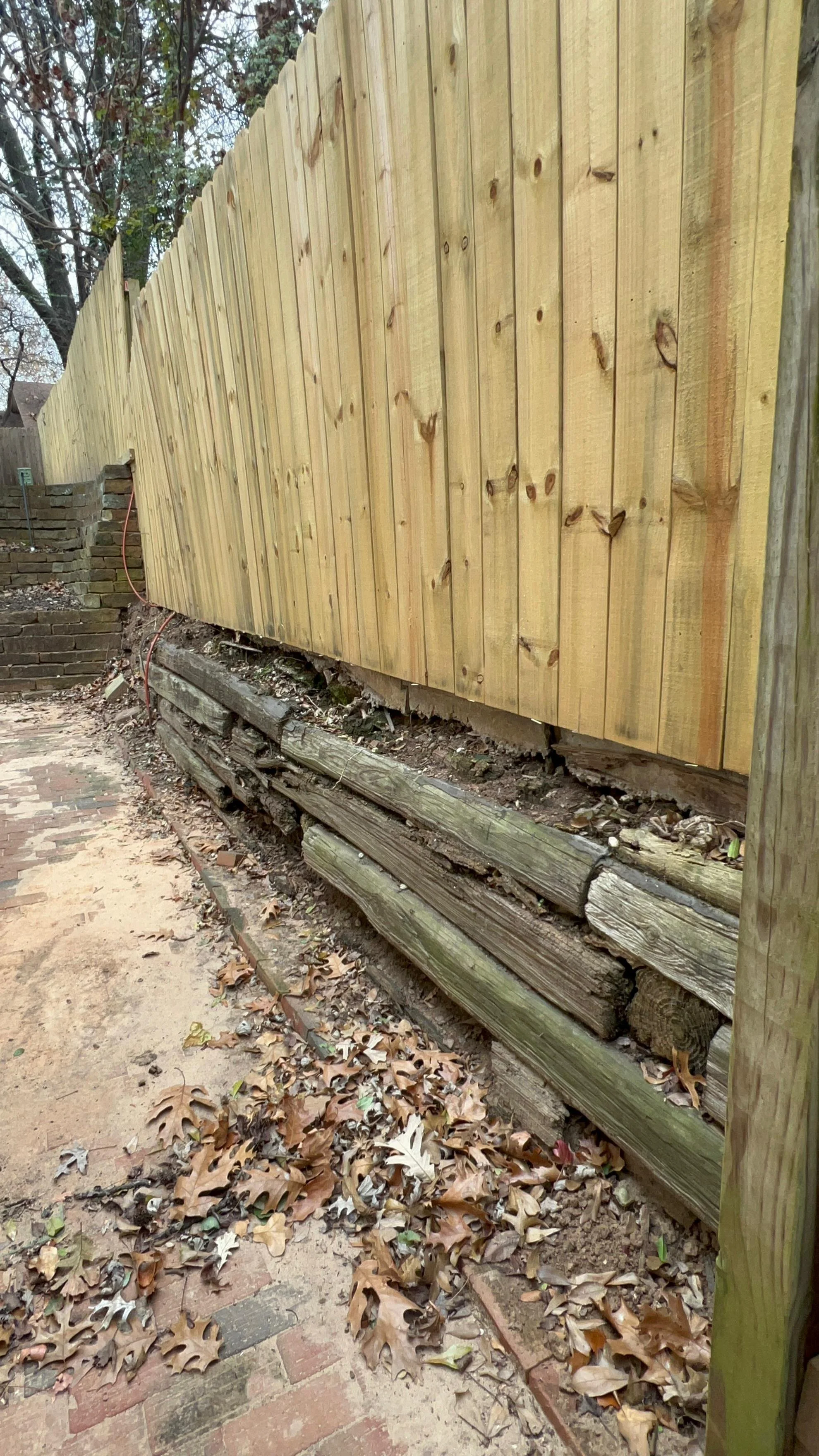 WhatsApp Image 2025-12-14 at 08.24.15 copy.jpeg