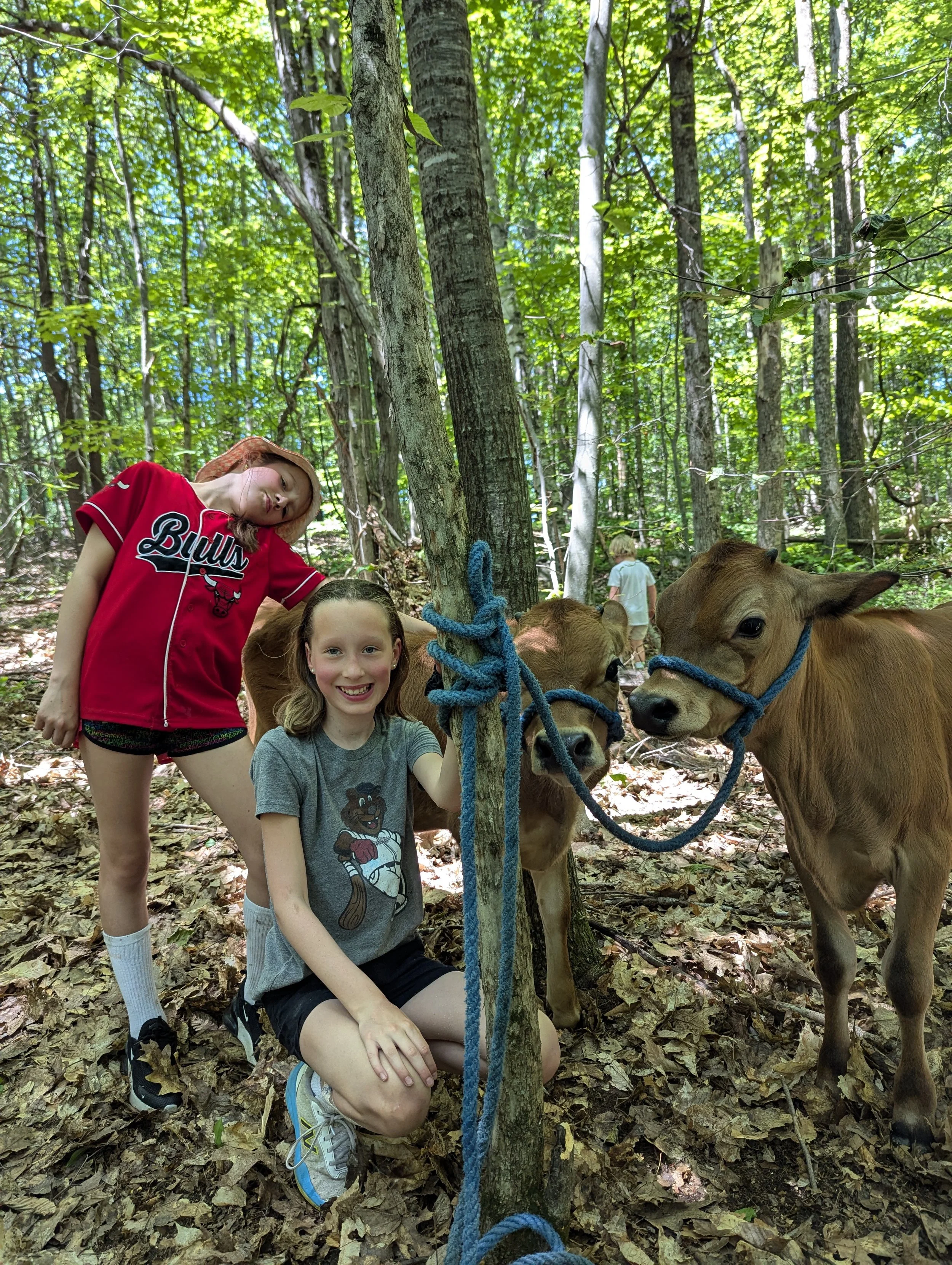 Two young girls in a forest with brown calves tied to a tree. One girl is kneeling and smiling at the camera, the other is standing and leaning her head back, looking up.