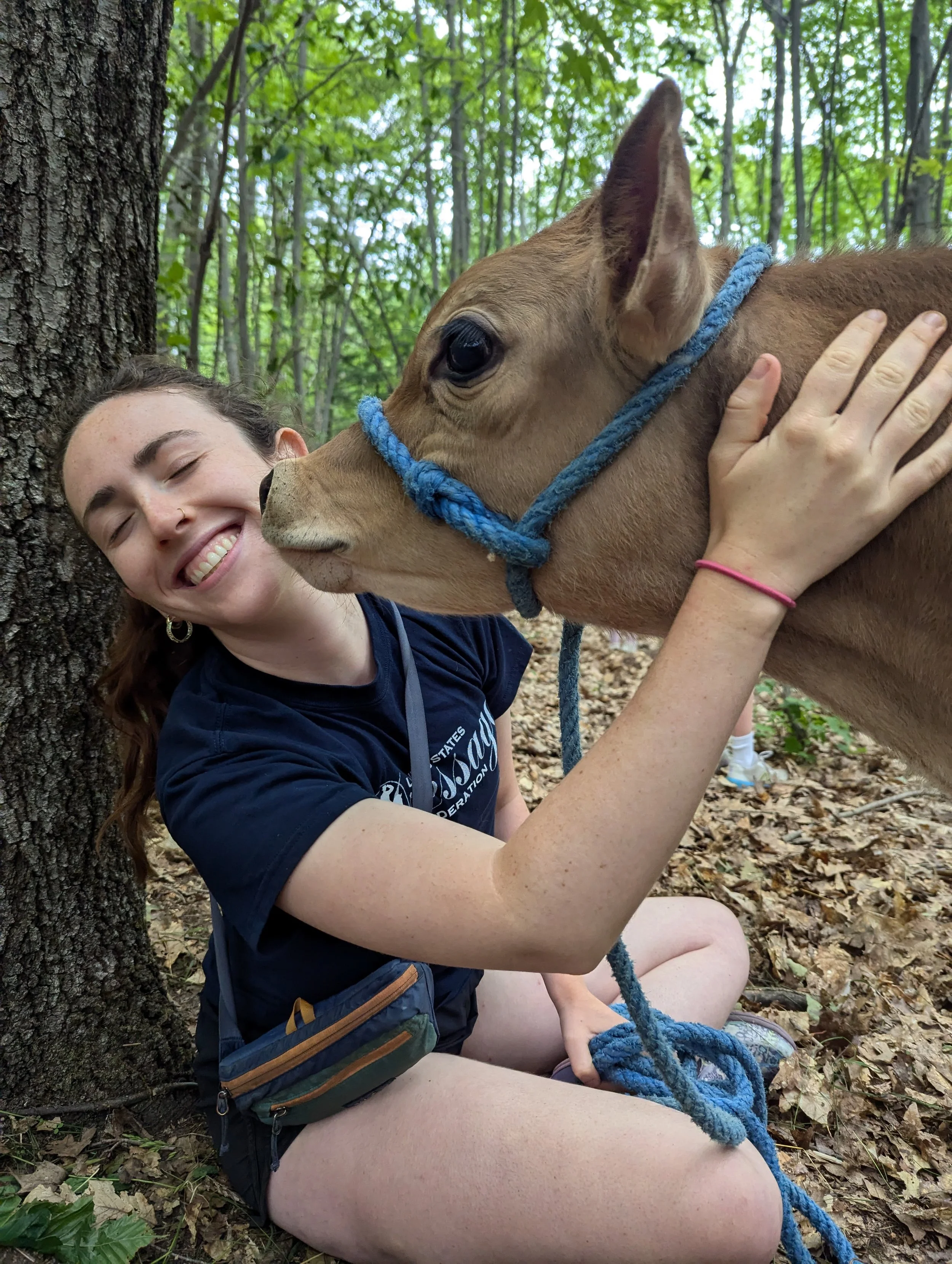 Adult Calf Hike