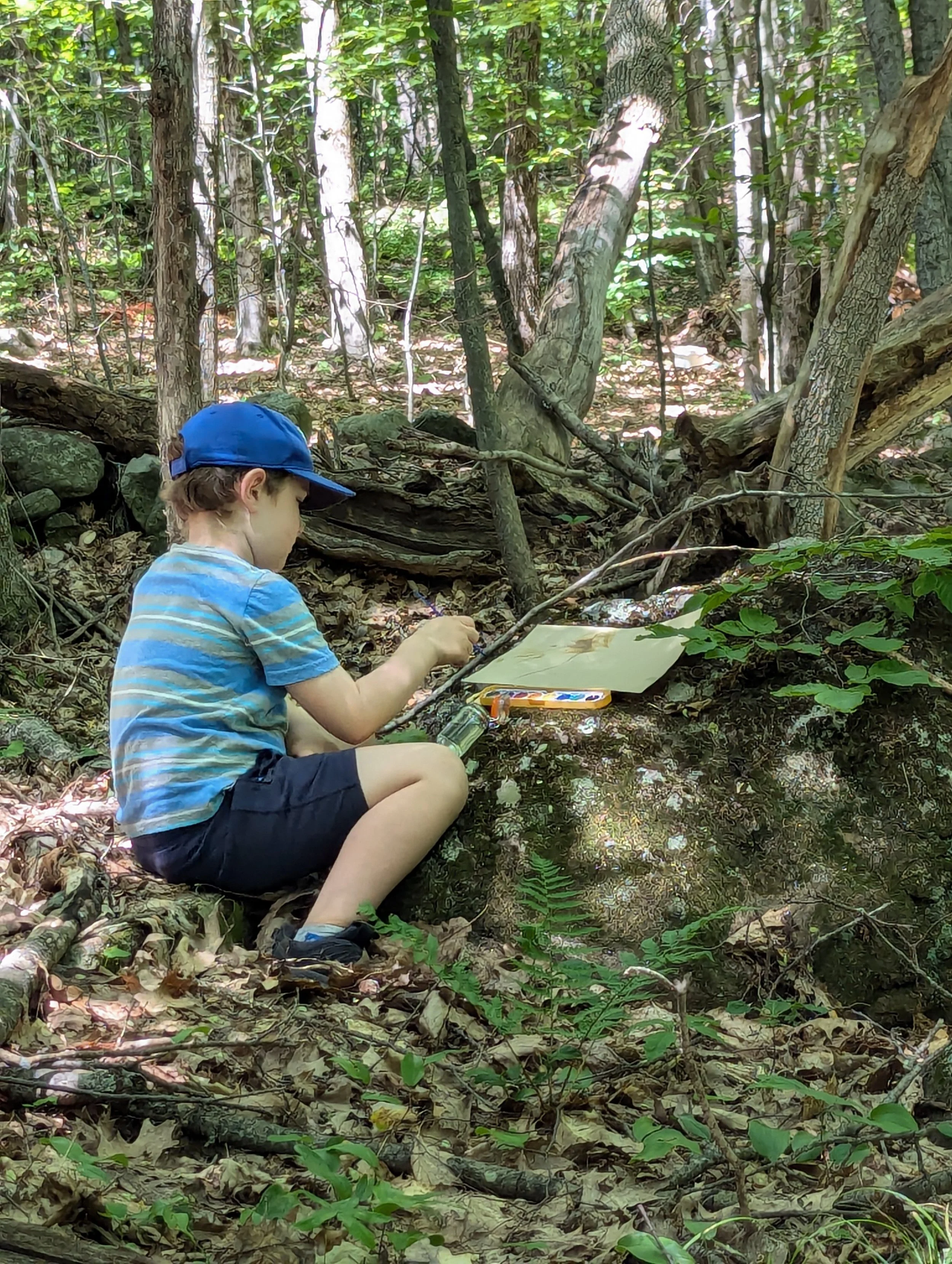 A young boy wearing a blue cap and striped shirt sits on the ground in a wooded area, sketching or drawing on a piece of paper. His surroundings are filled with trees, rocks, and green foliage.