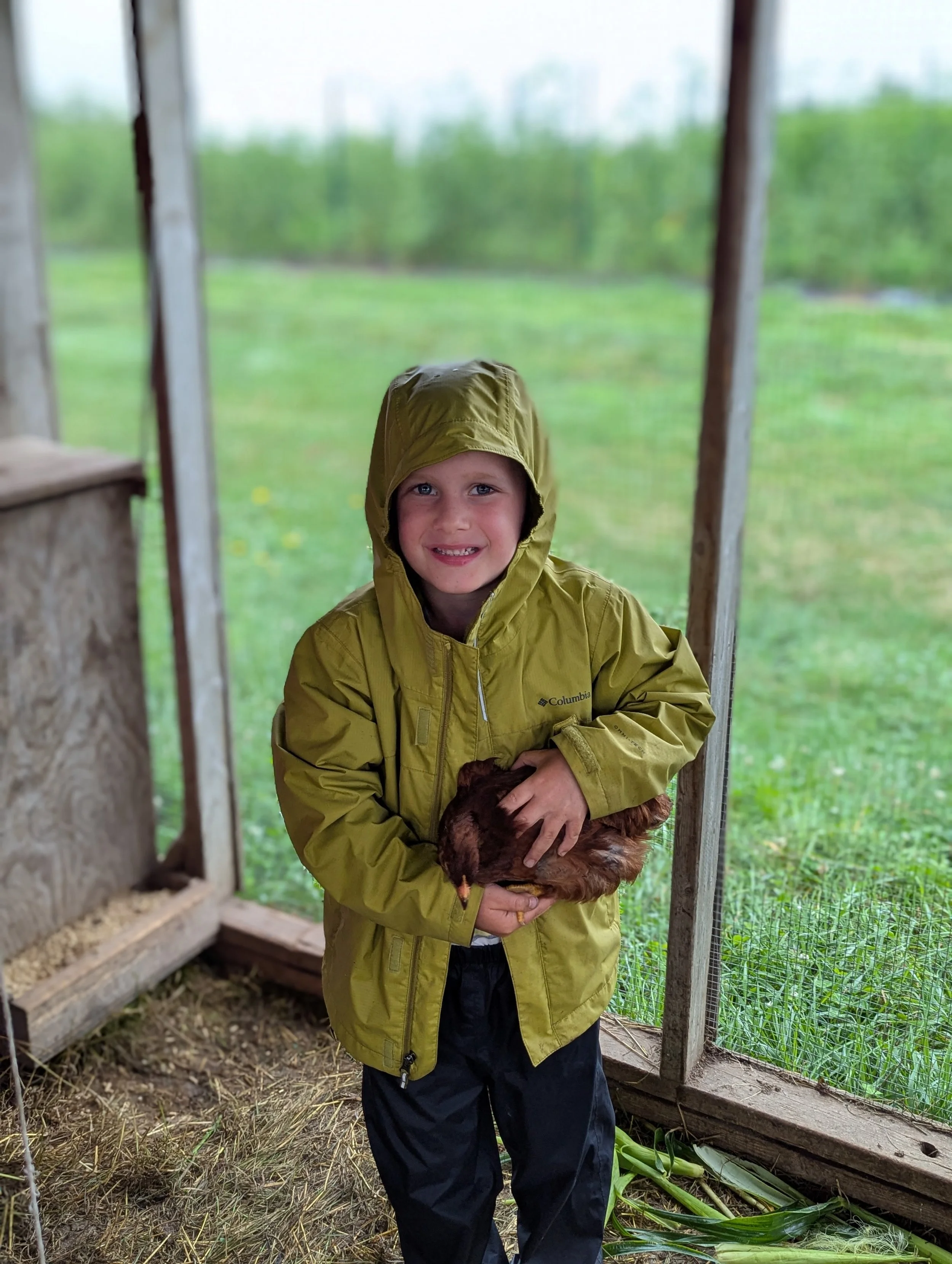 Farm Storytime