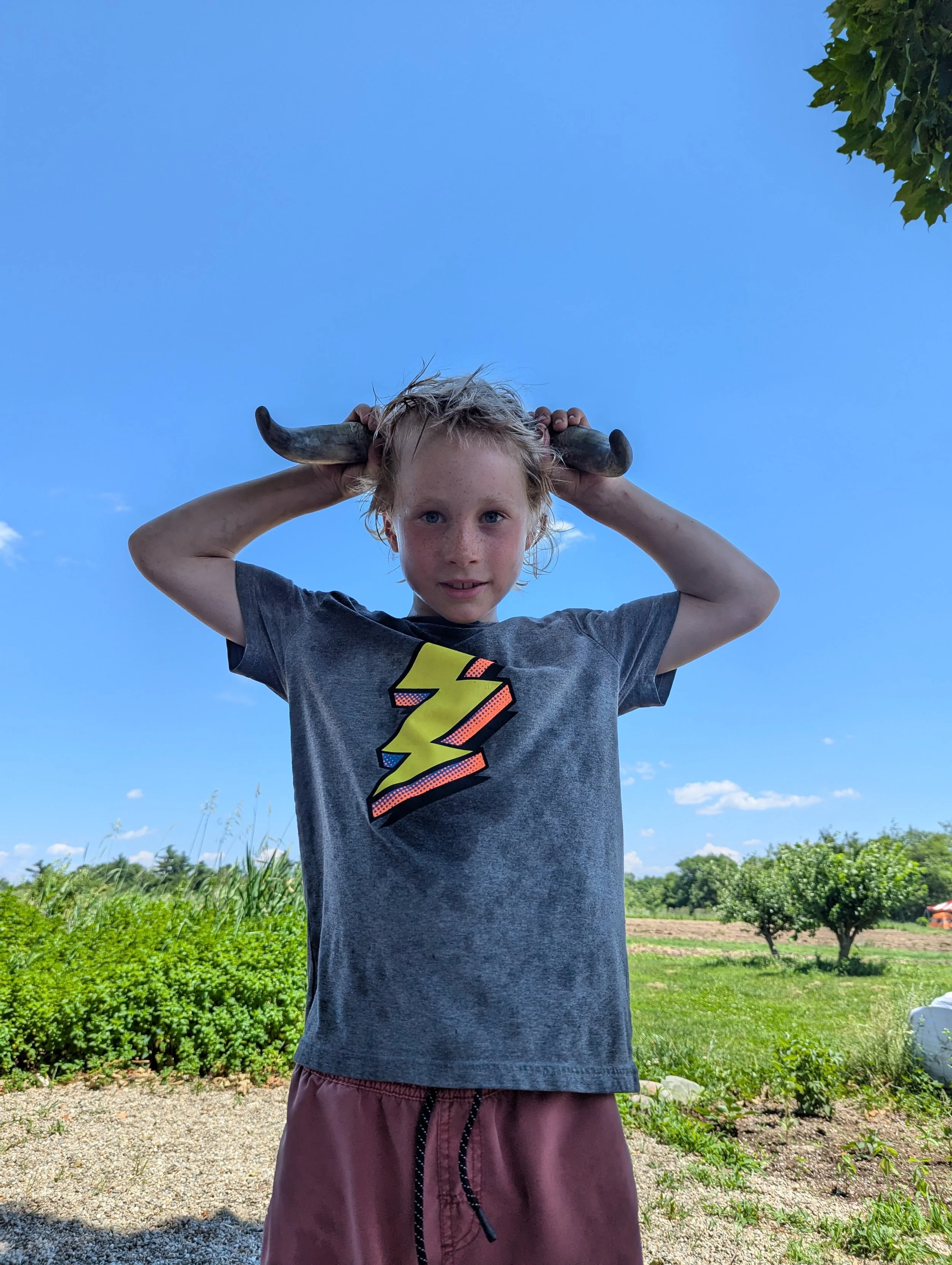 A young boy with freckles and messy blonde hair holds a horned animal skull on his head like a hat outside on a sunny day, with a blue sky and green trees in the background.