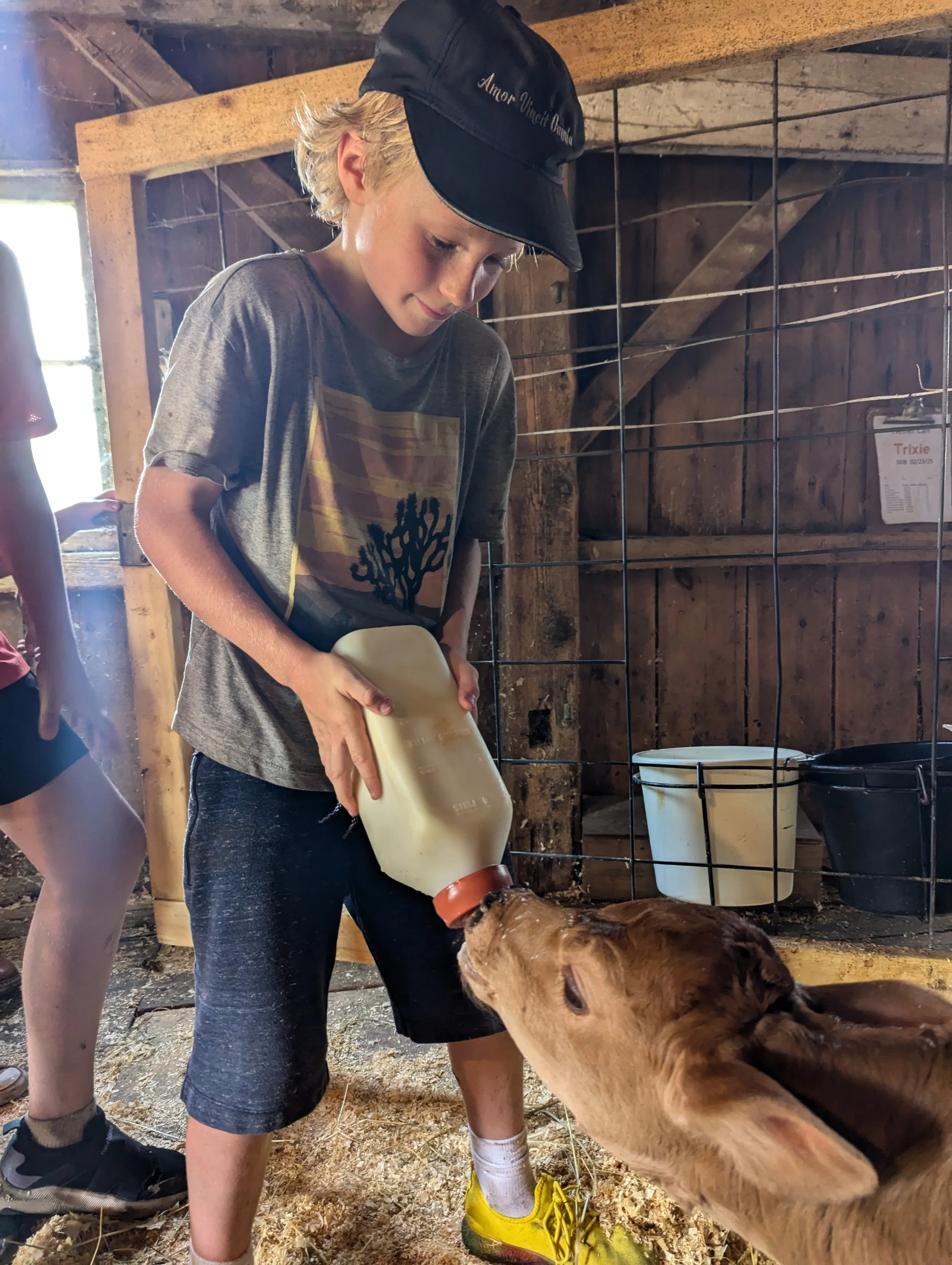 Saturday Morning Calf Feedings