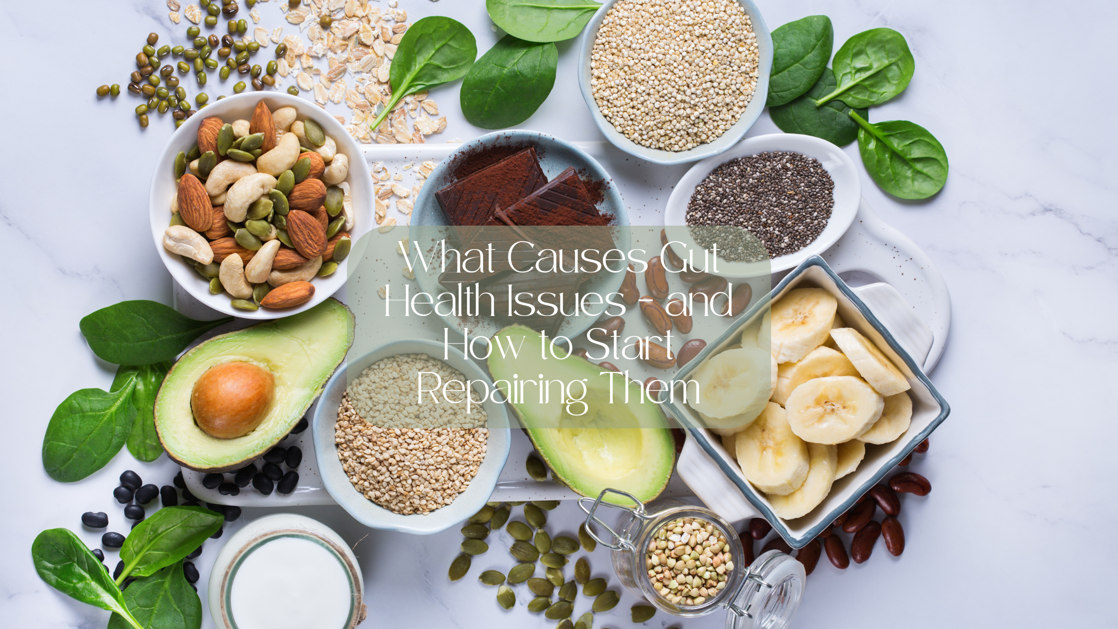 What Causes Gut Health Issues — and How to Start Repairing Them