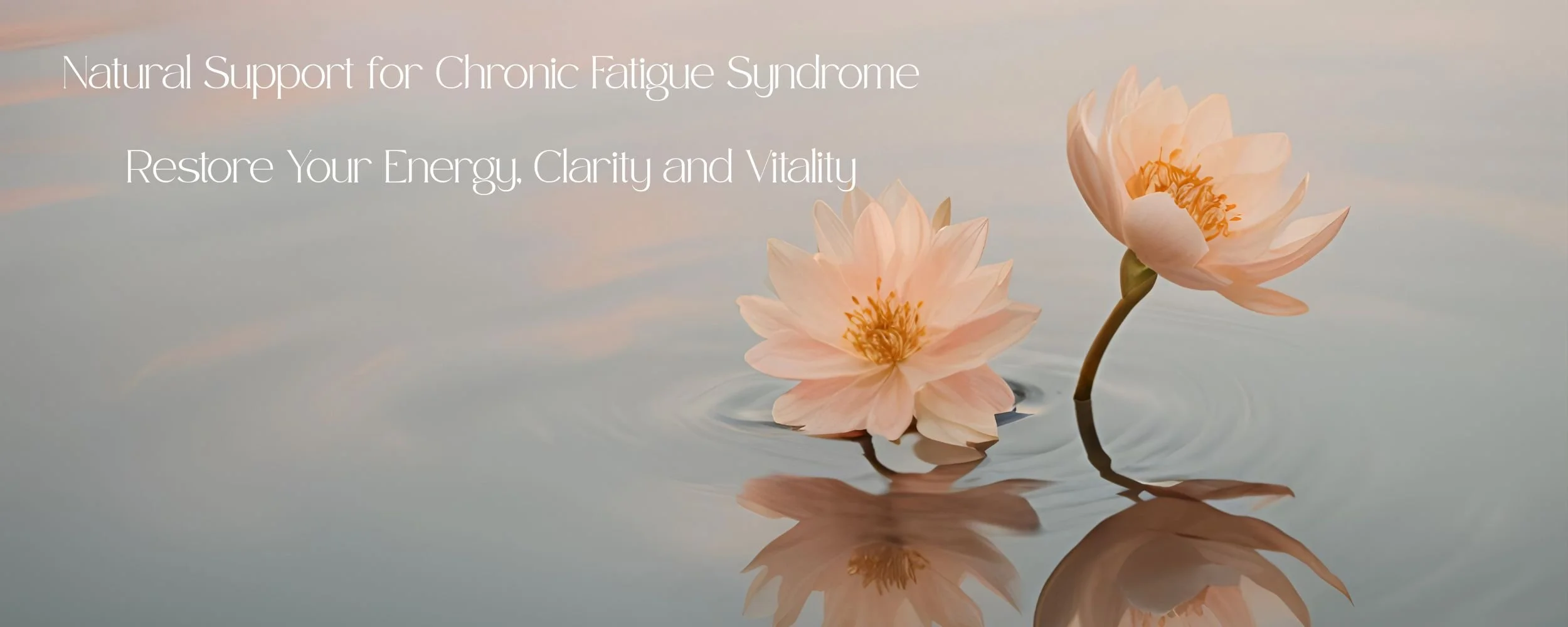 Two pink water lilies floating on calm water with reflections, under a soft sky background, with overlaid text about natural support for chronic fatigue syndrome.