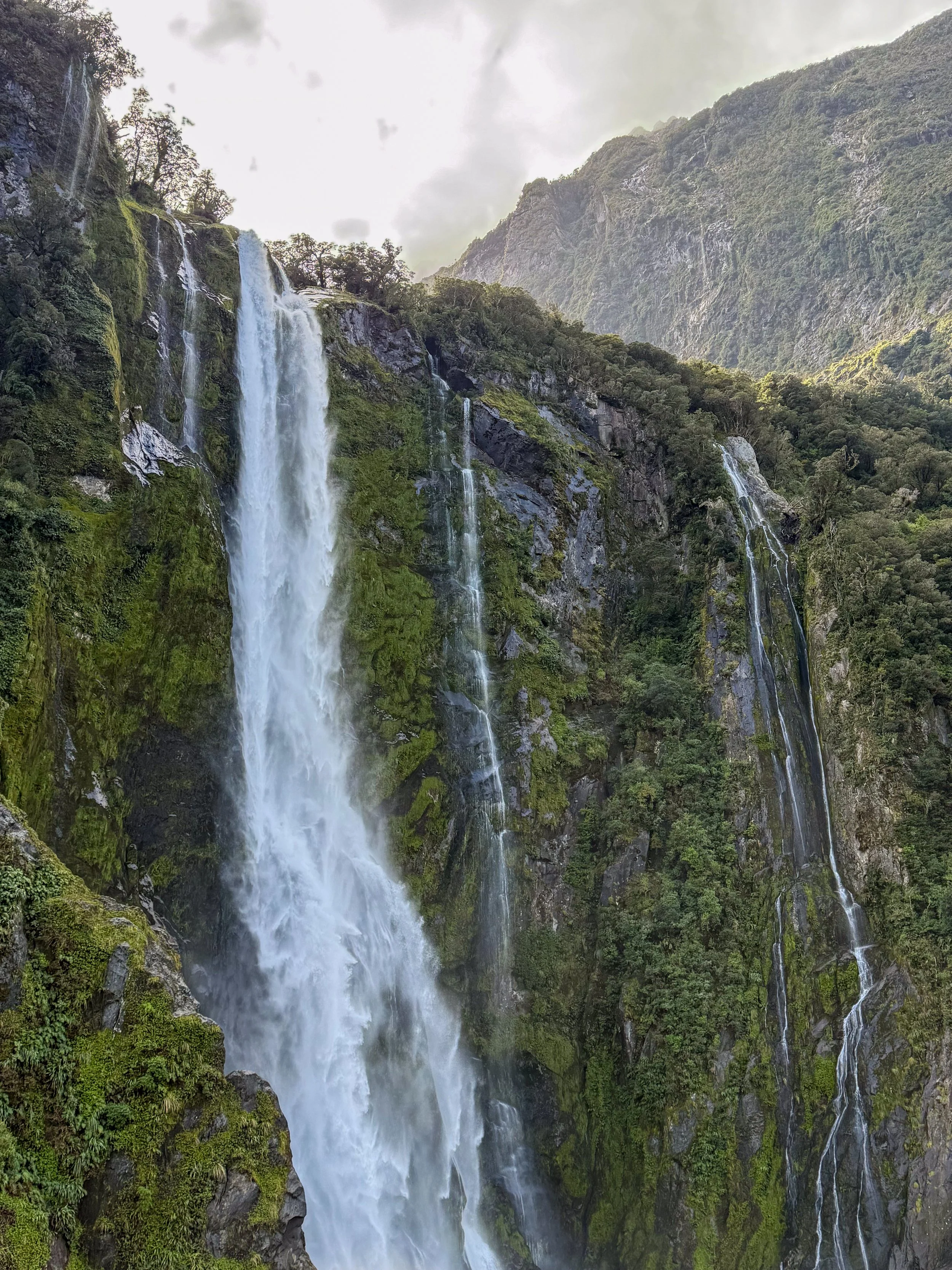 2025_NZ_landscape 7.jpg