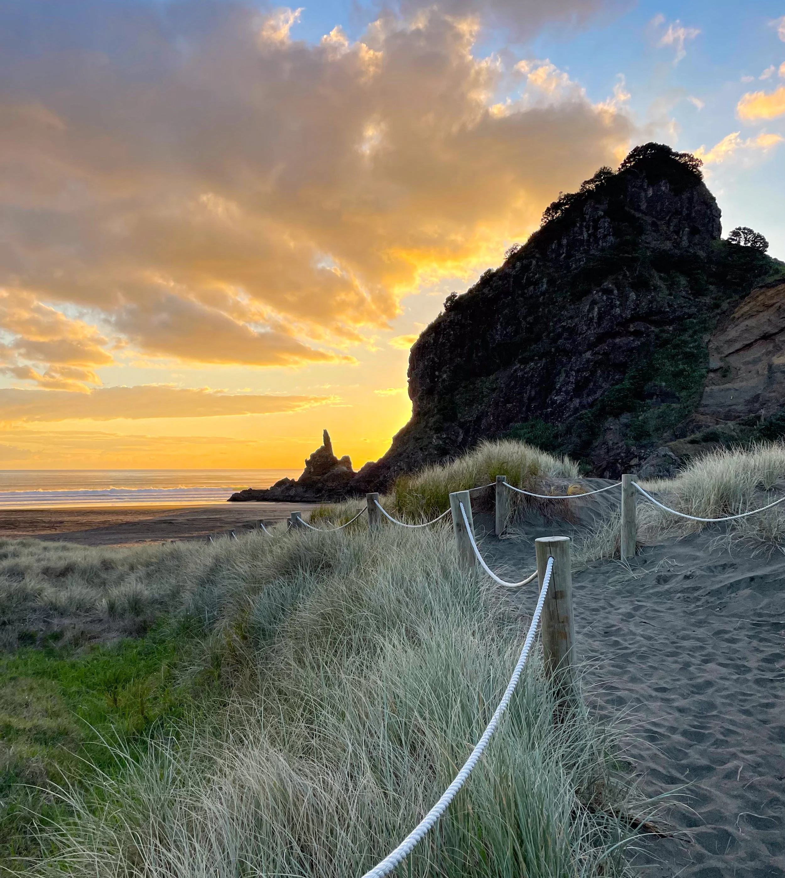 Aotearoa - Piha Beach