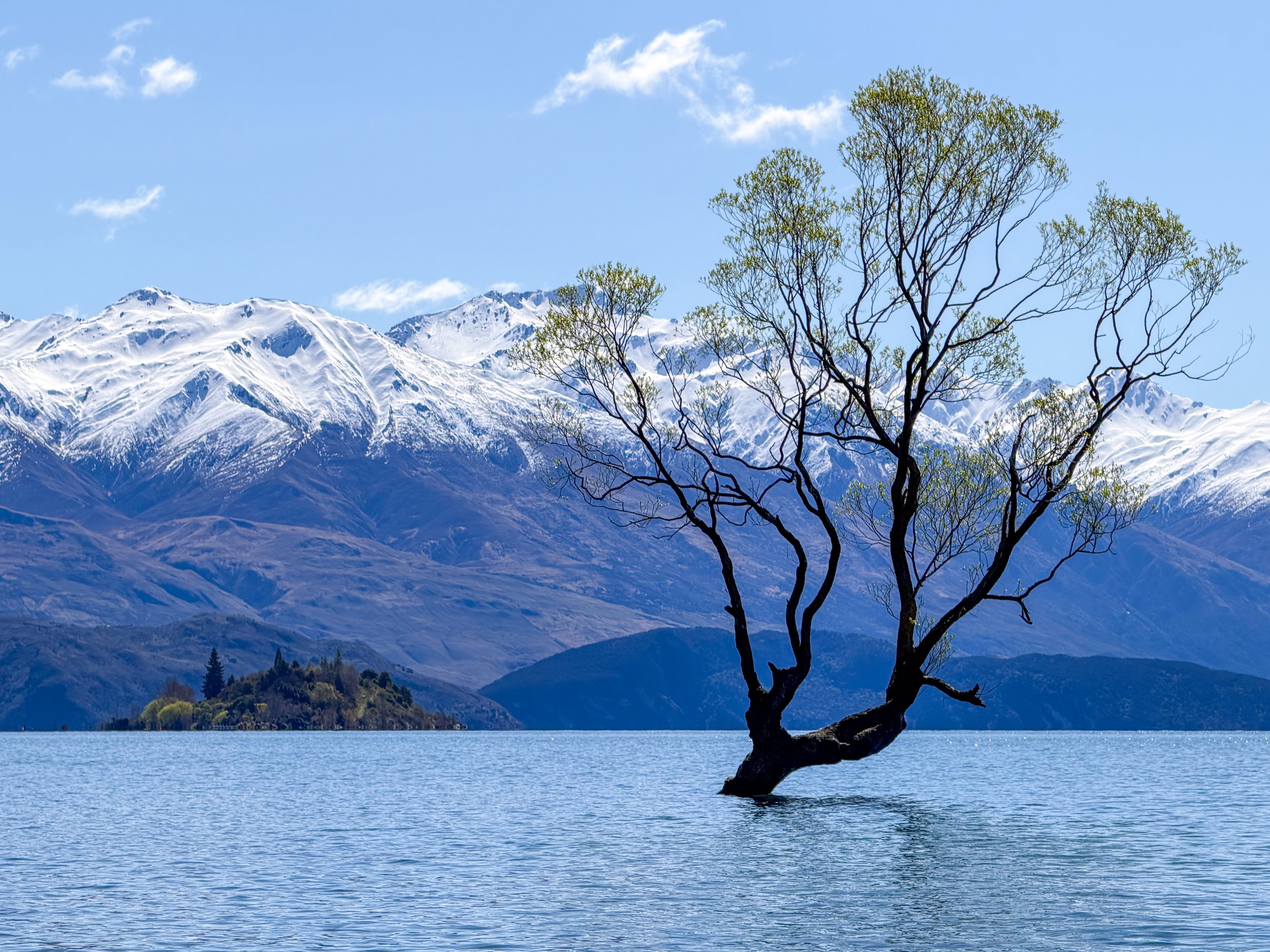 2025 - NZ-Wanaka