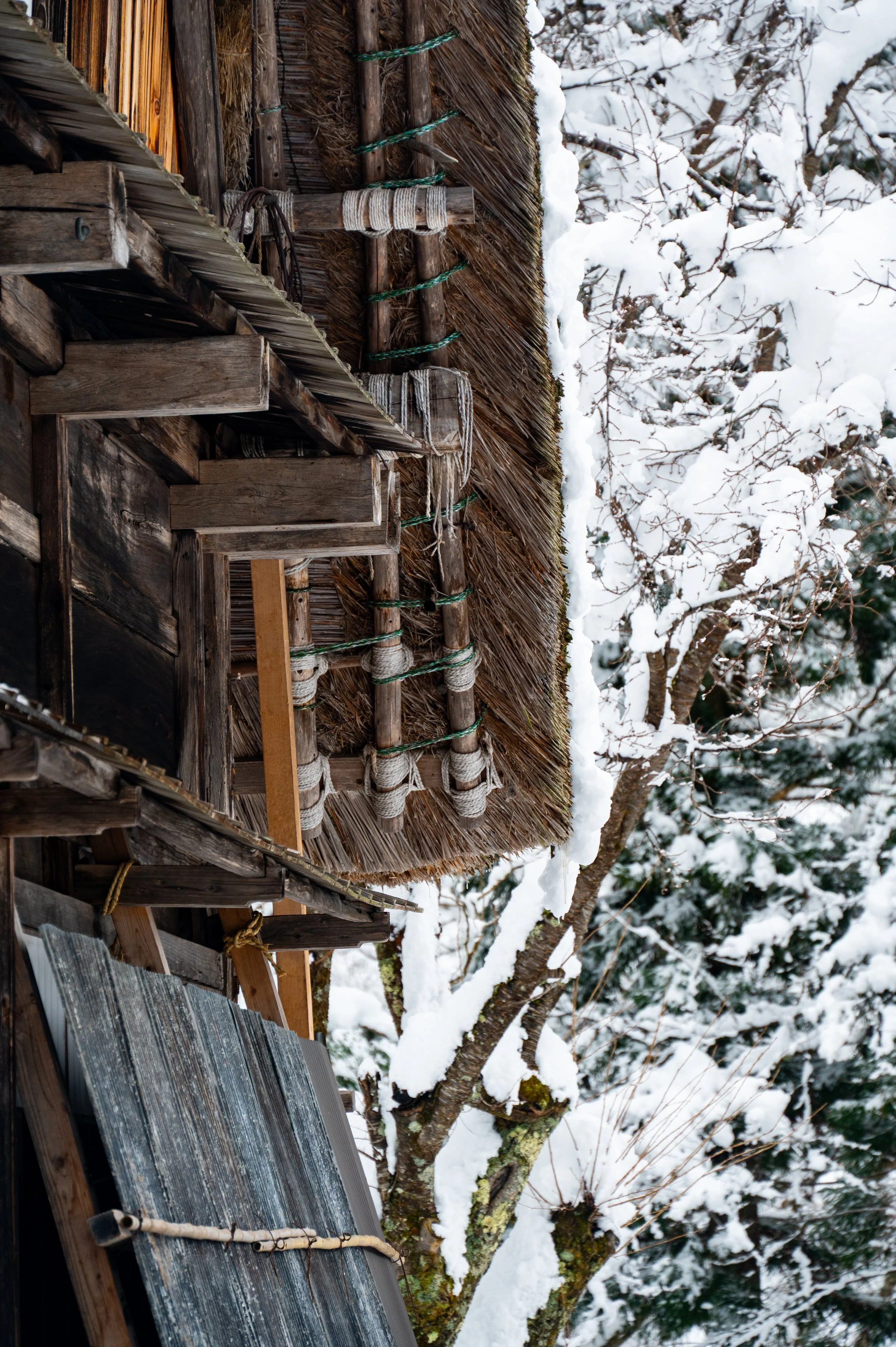 Shirakawago - Roof structure