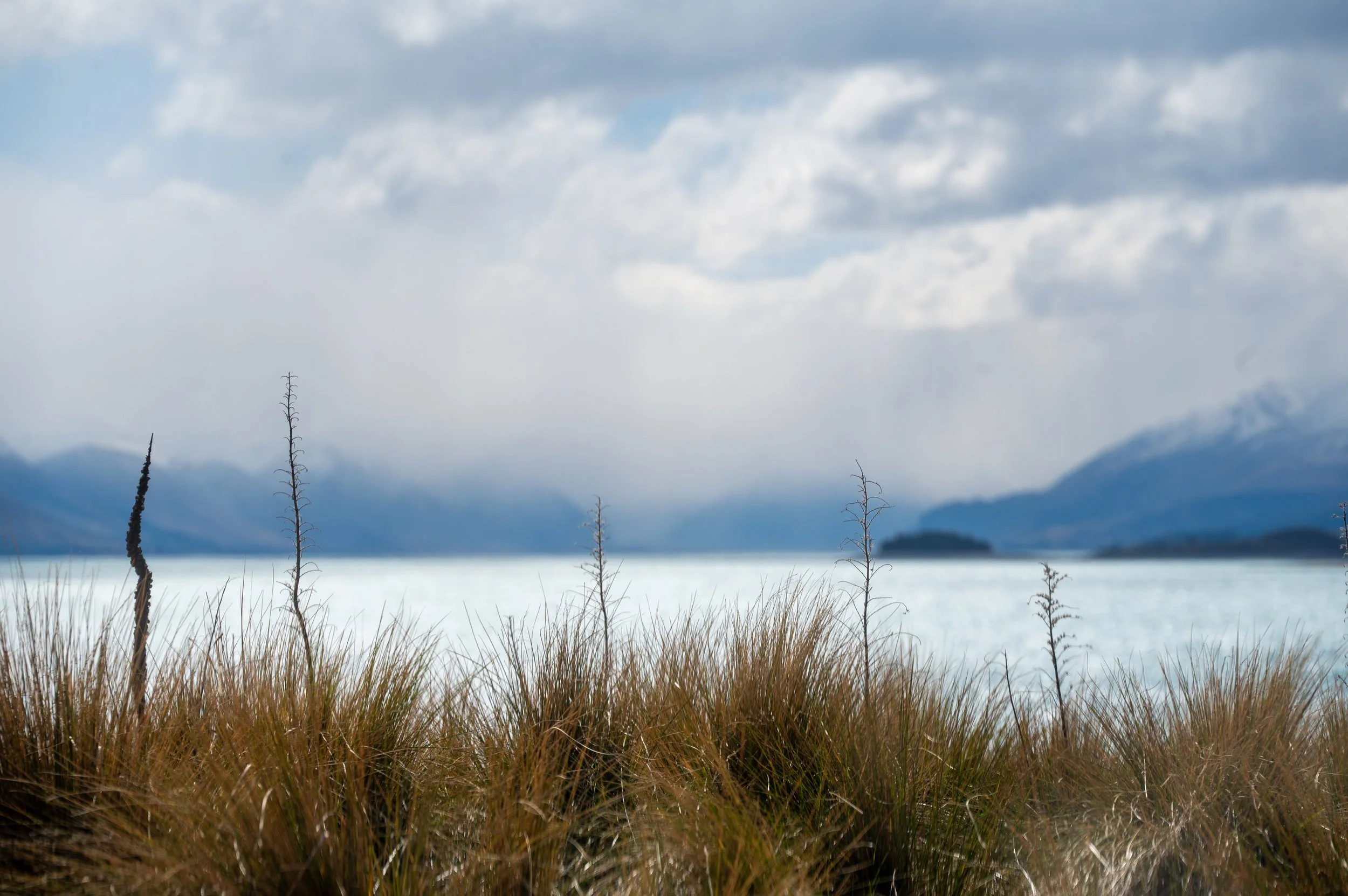 2025_NZ_Mt cook 5.jpg