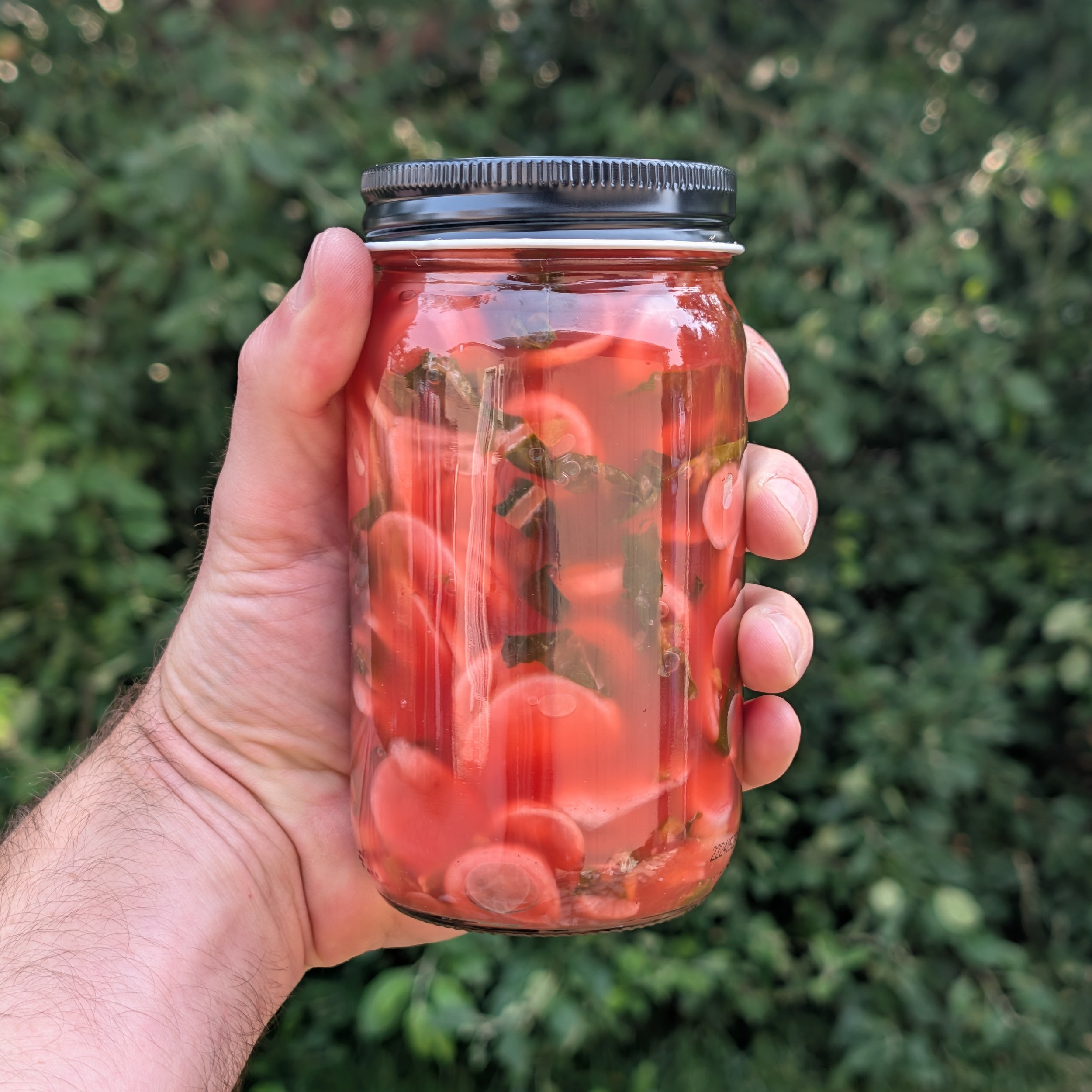 Pink Radish + Garlic Scapes