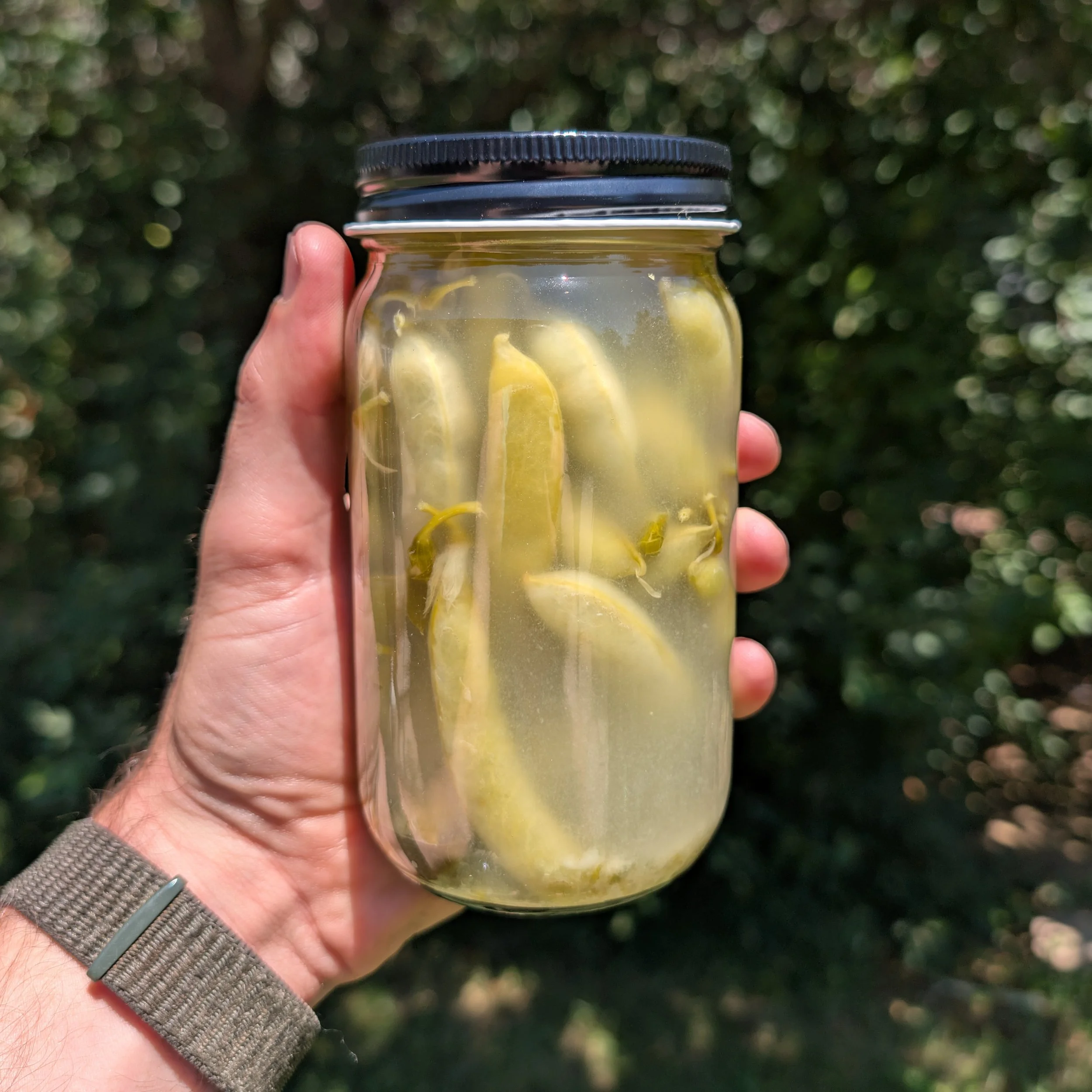 Ginger Sugar Snap Peas