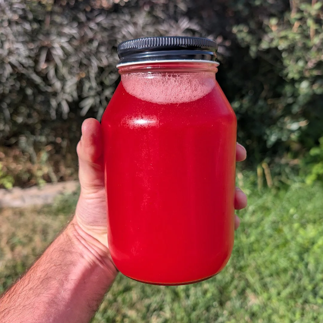 Oregano radish.jpg