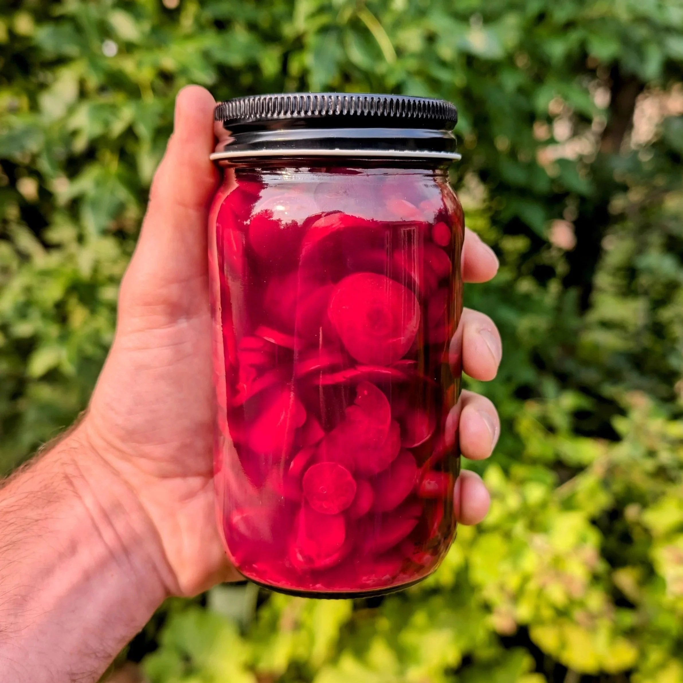 Scotch Bonnet + Ginger + Purple Carrots Small-Batch