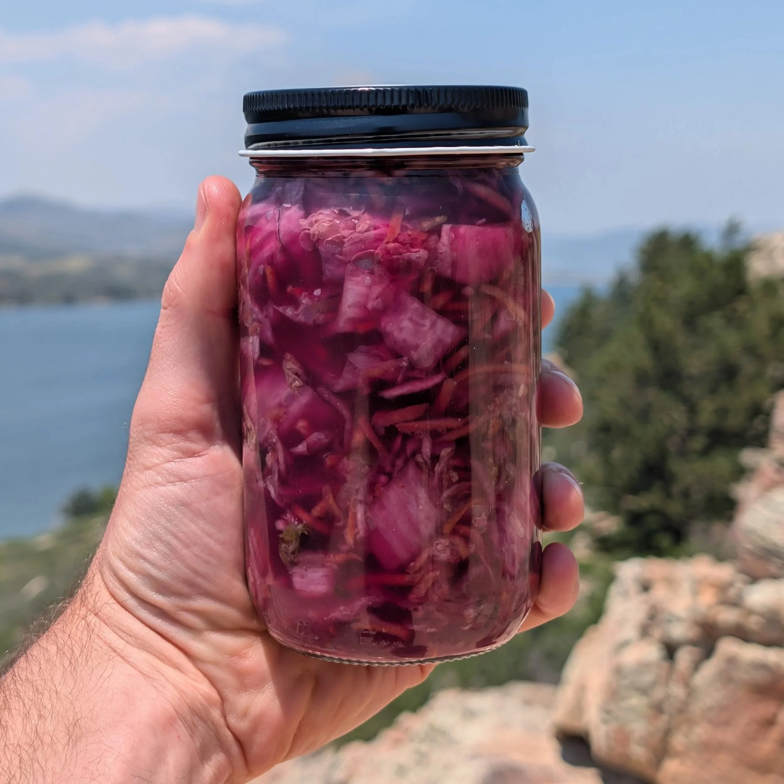Purple Kimchi