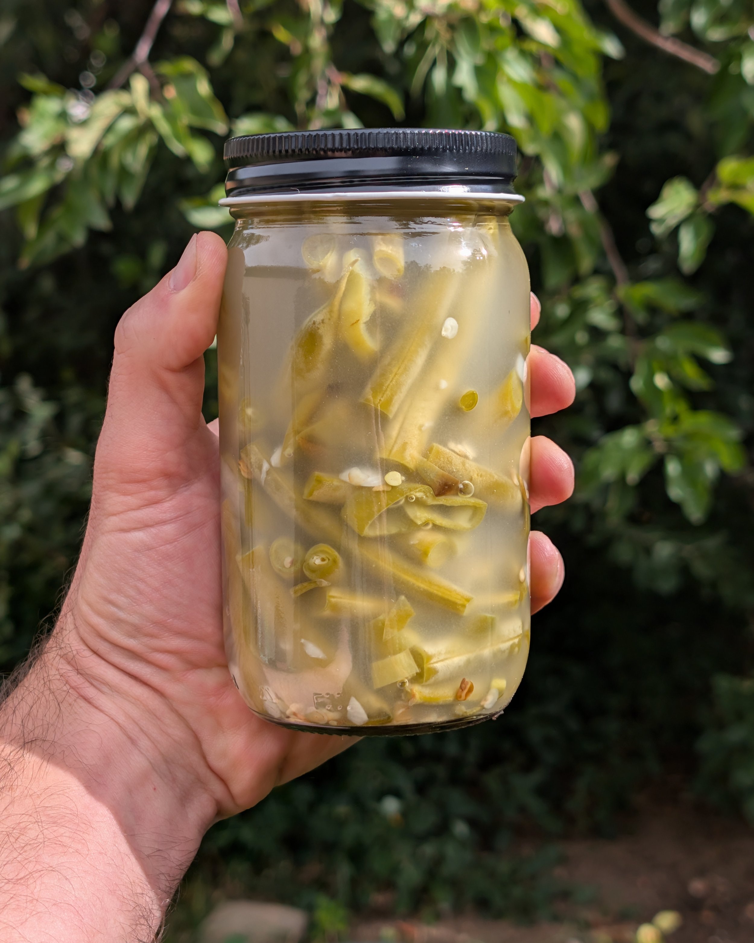 Green Chile Green Beans