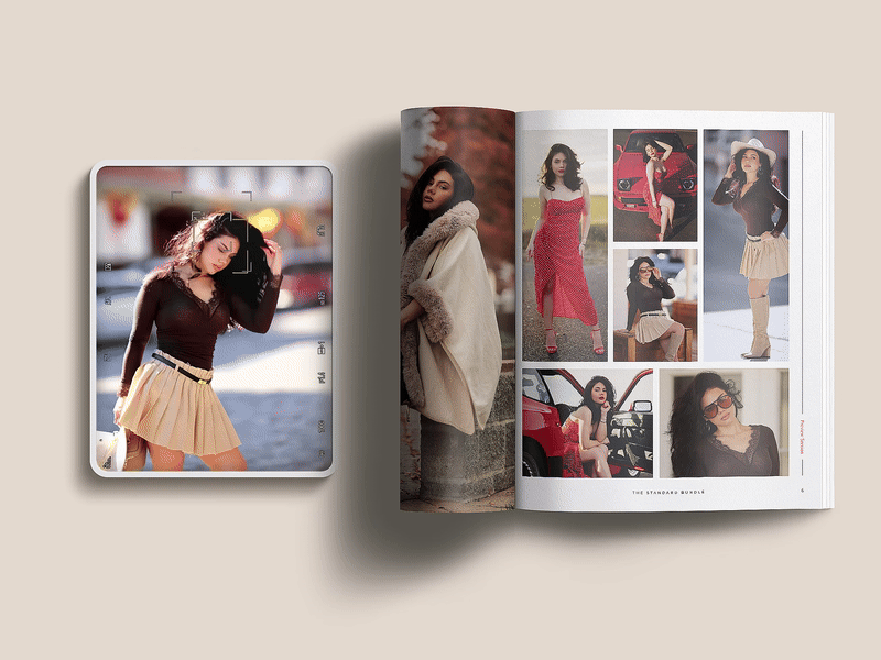 The Standard PG.V-VI.gif