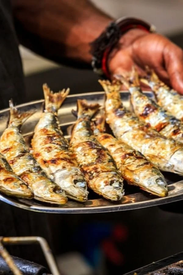 WhatsApp Image 2024-12-29 at 10.02.42 (1).jpeg