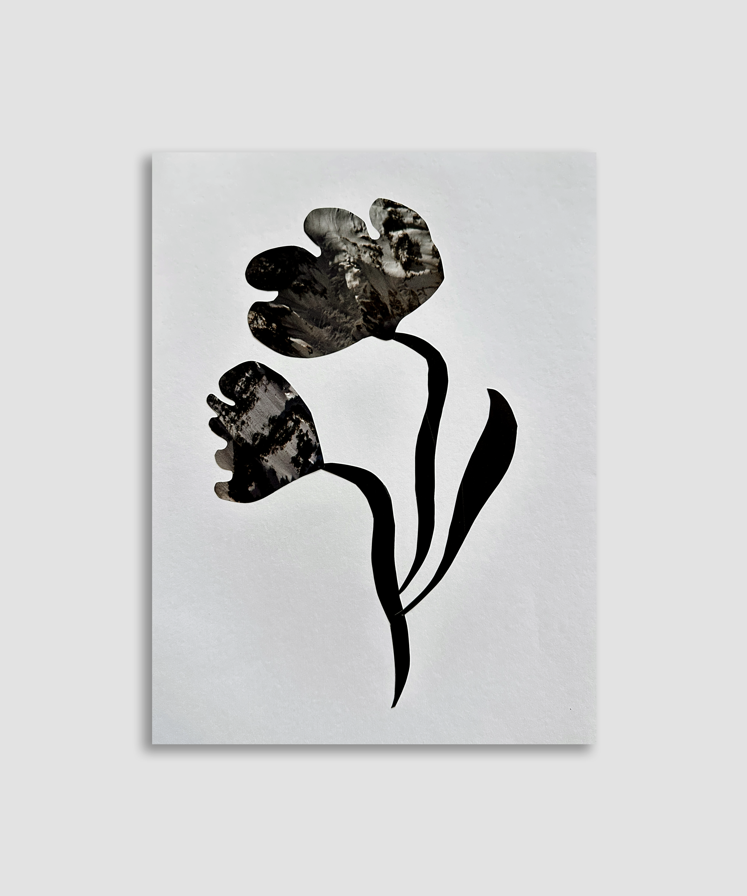 Artboard 1 copy 12.png