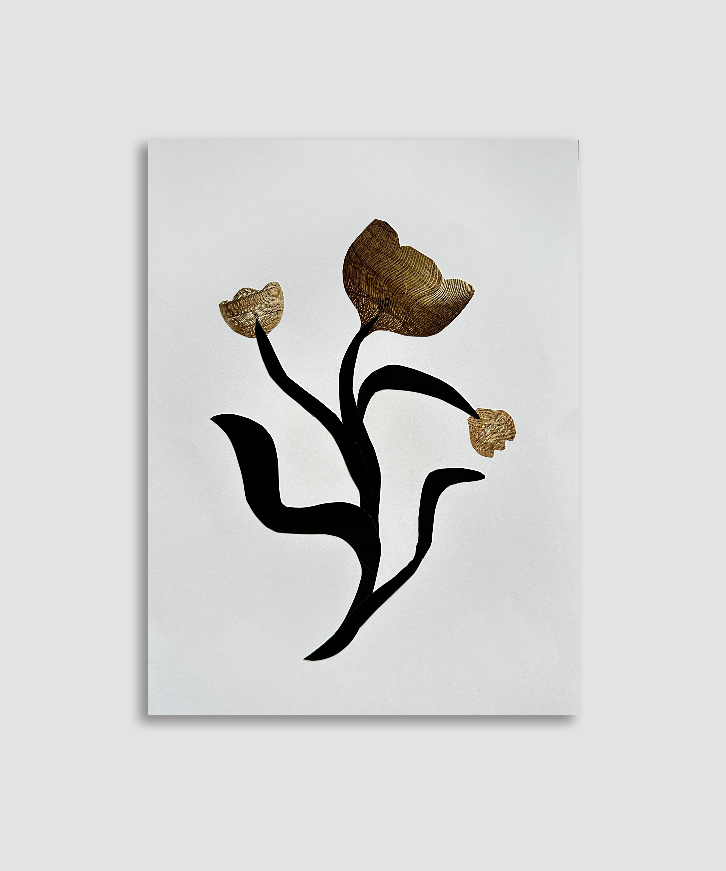Artboard 1 copy 14.png