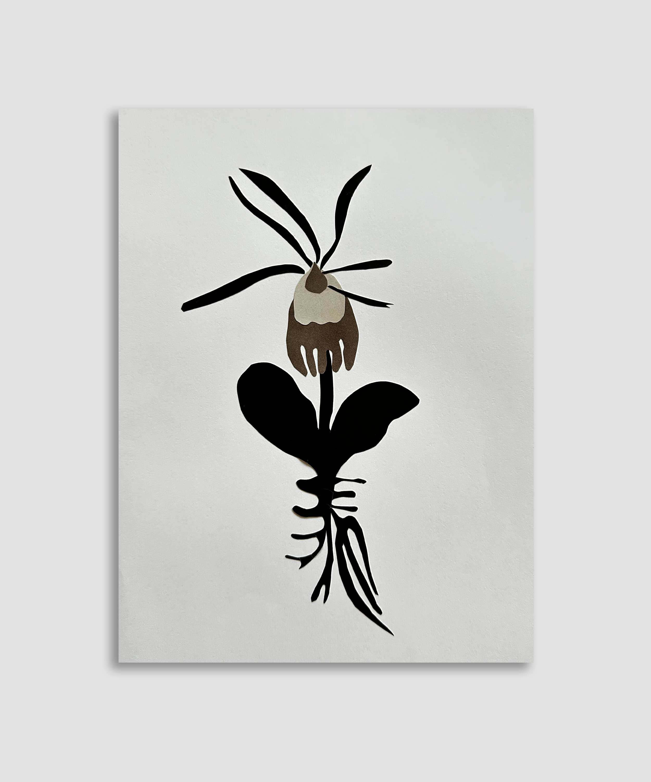 Artboard 1 copy 15.png
