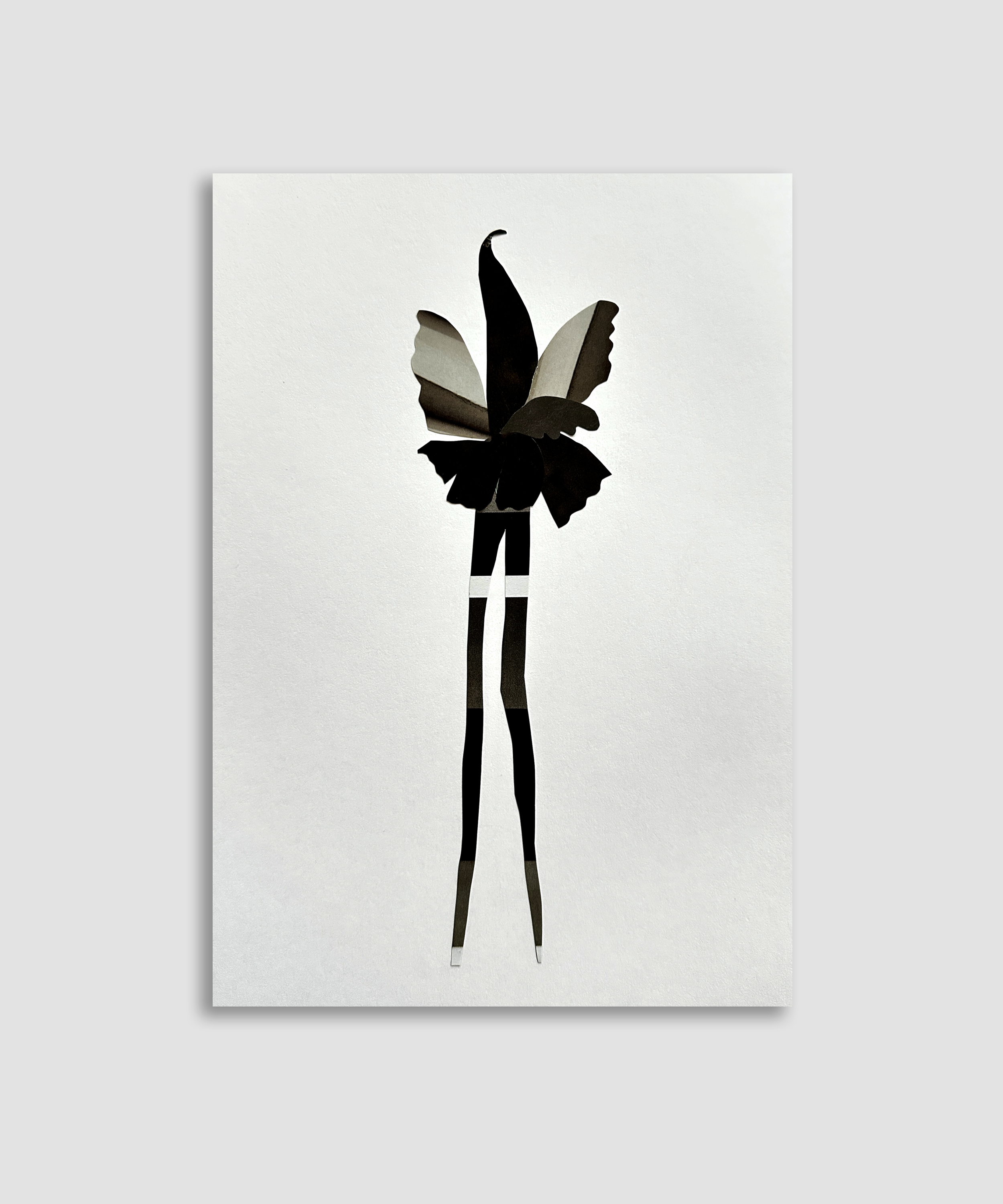 Artboard 1 copy 16.png