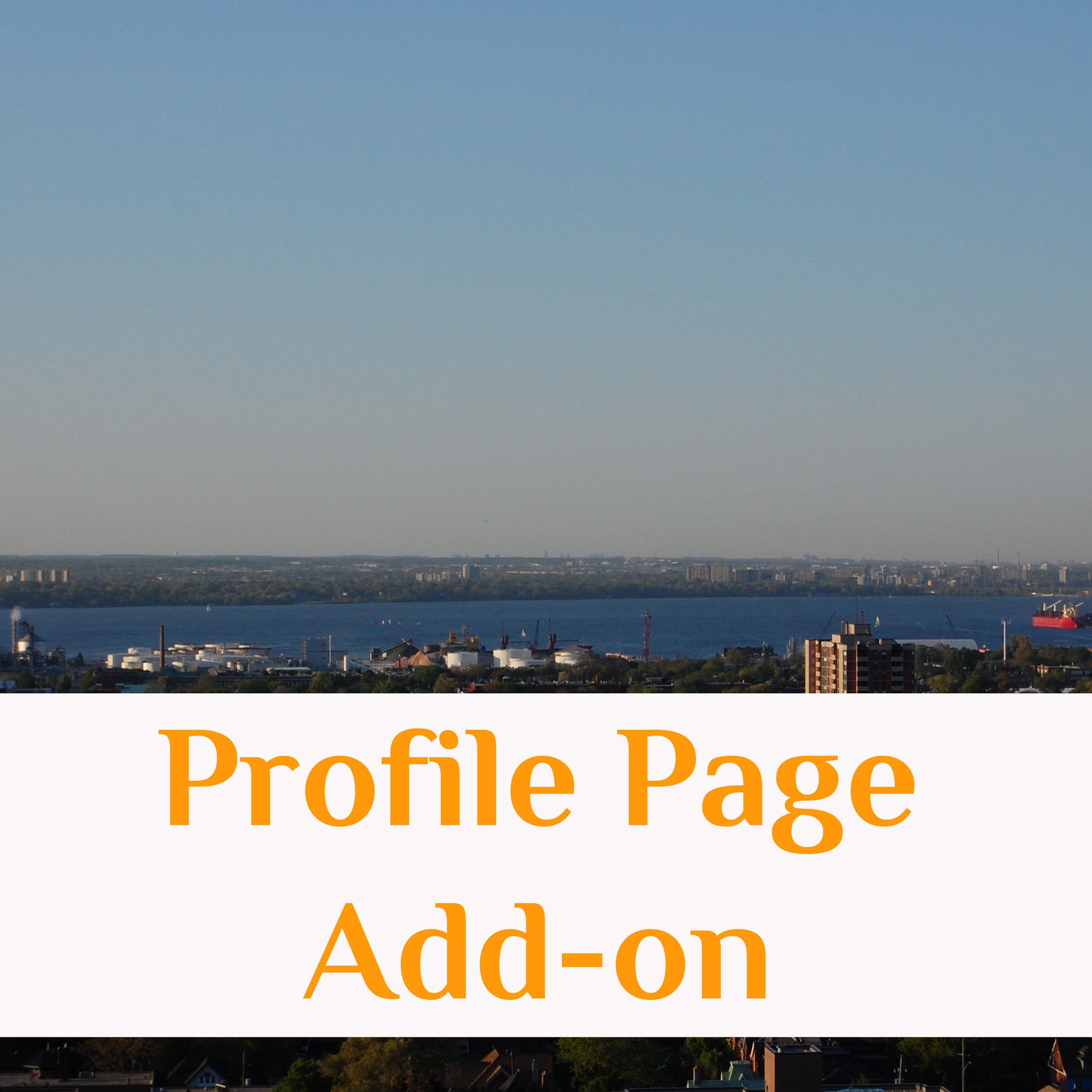 Personal Profile Page with MINI-Shop