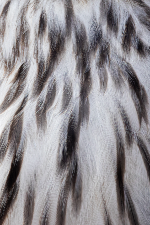 Screenshot (315).png