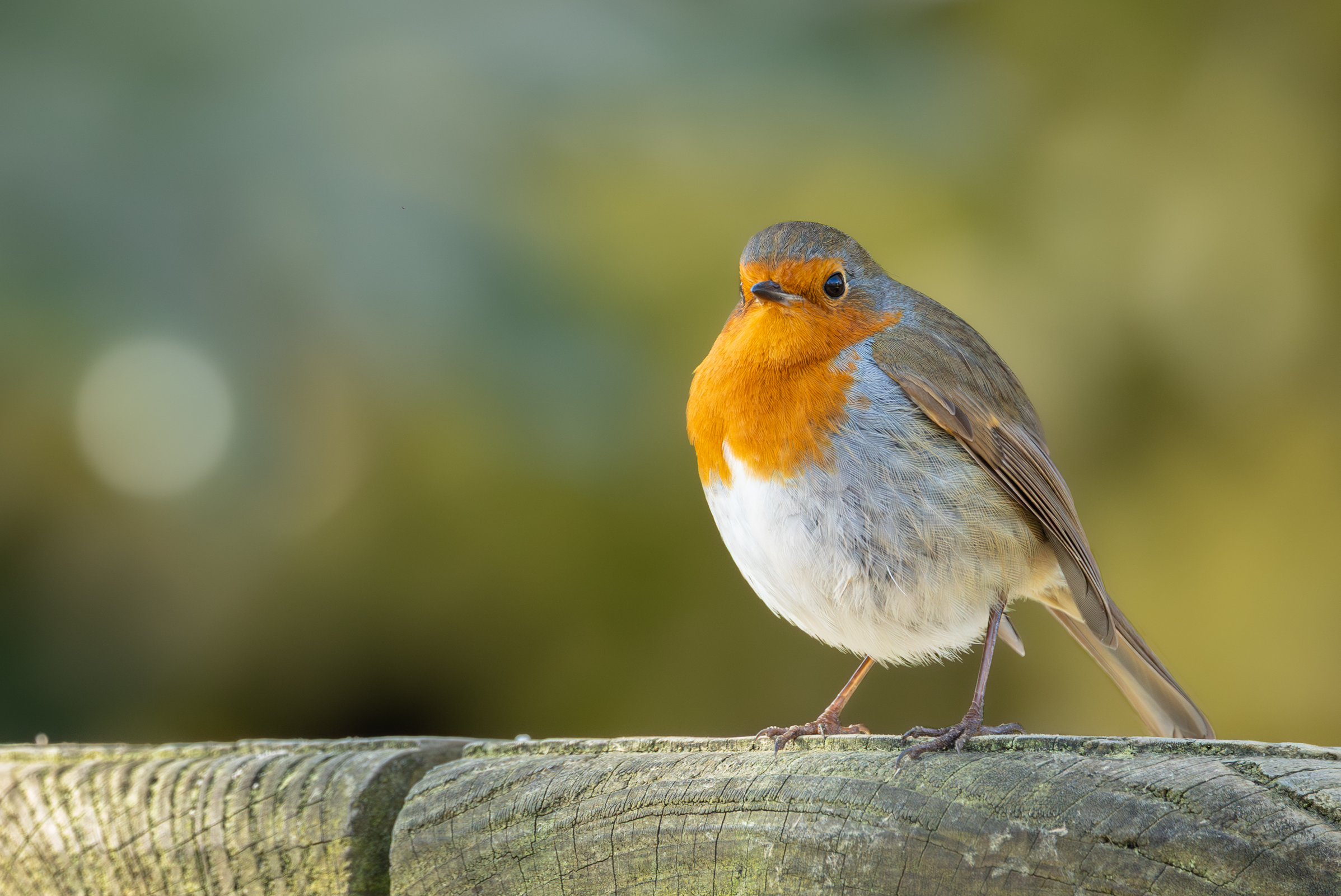 Screenshot 2025-12-25 130410.png