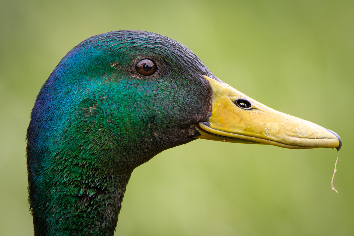 Screenshot (135).png