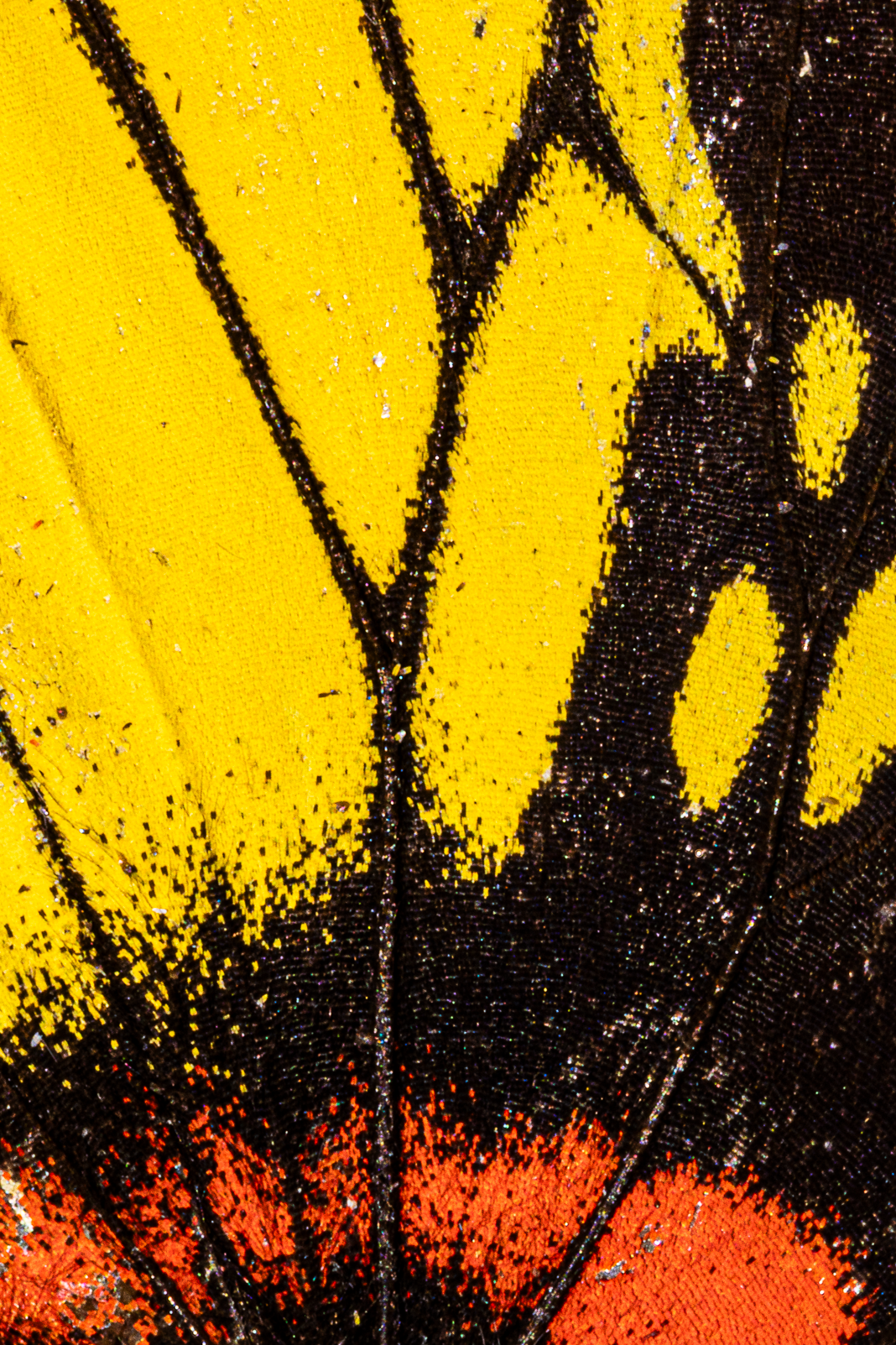 Screenshot 2025-12-20 231040.png