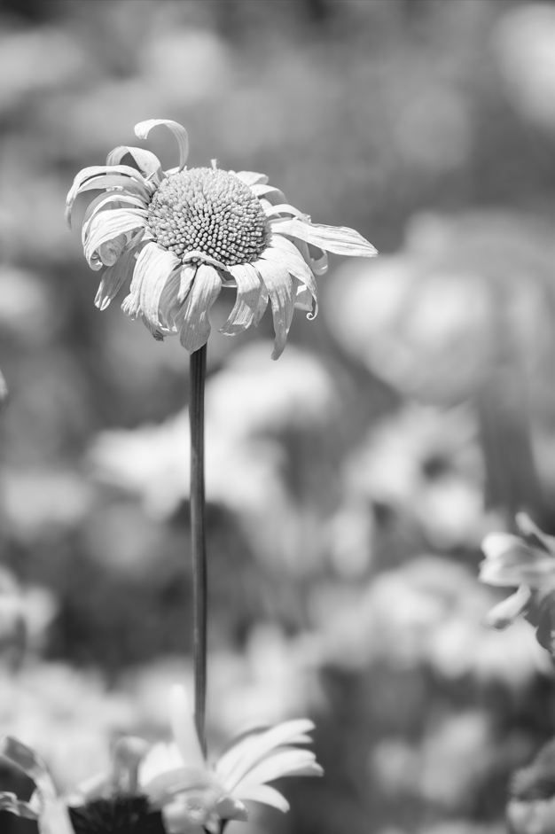 Screenshot (457).png