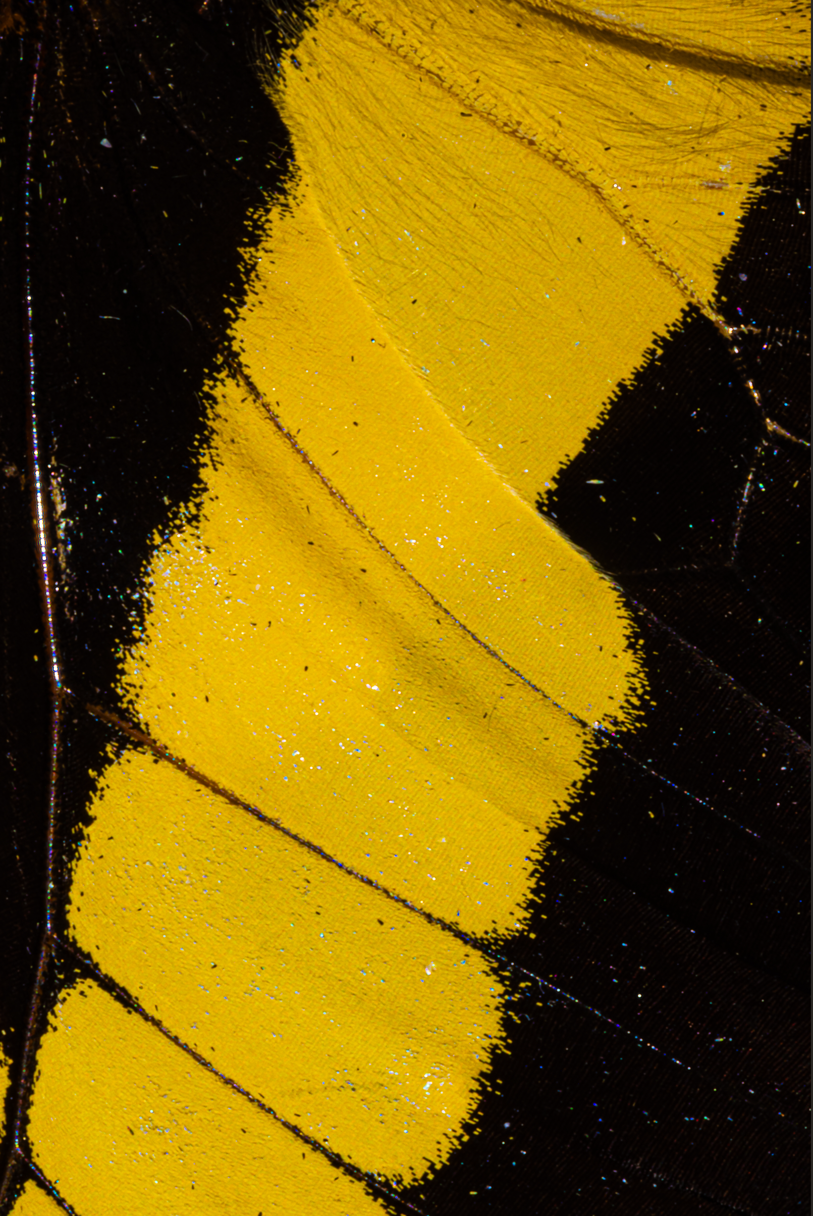 Screenshot 2025-12-20 231400.png