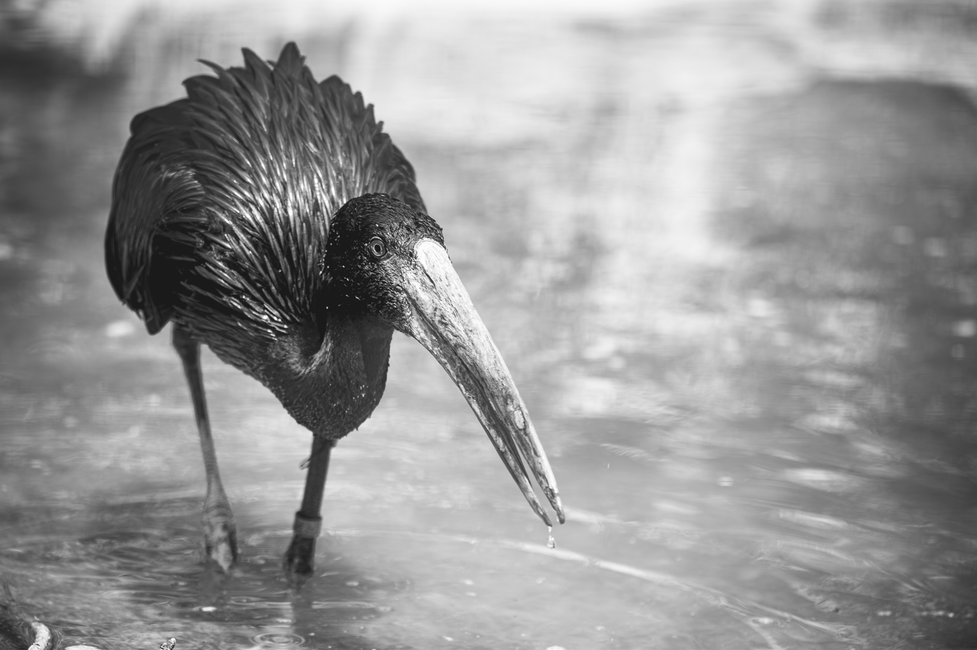 Screenshot (307).png