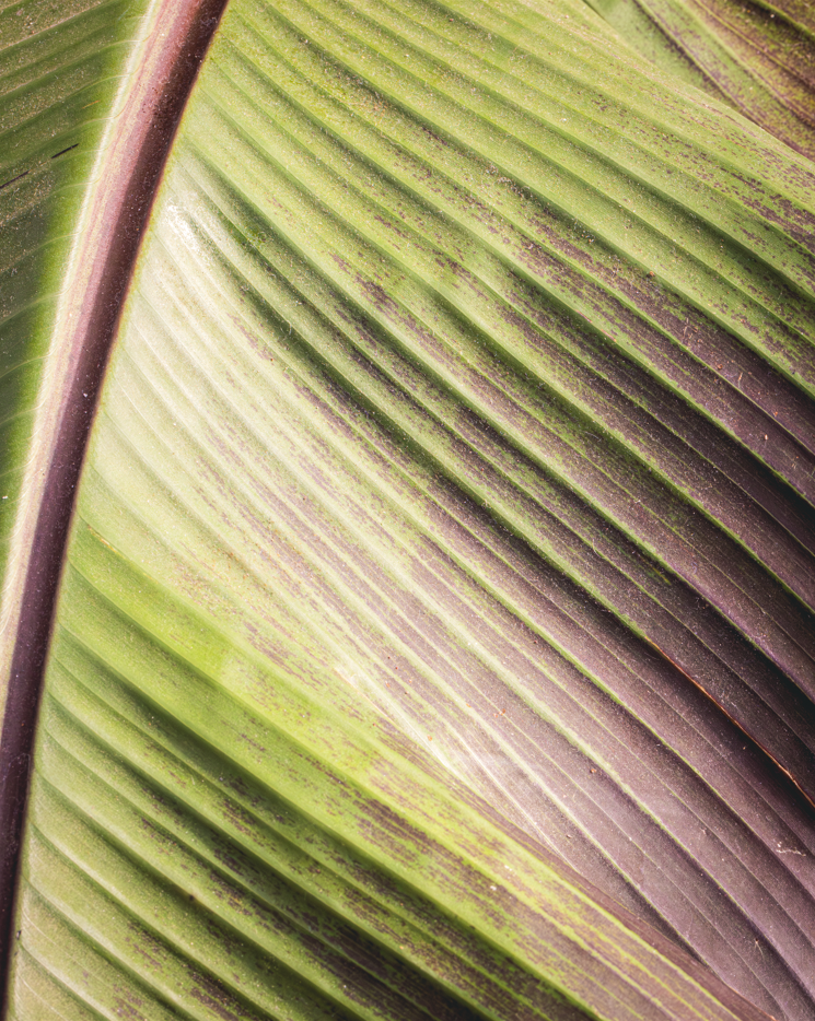 {87448831-59E6-4C80-9EB2-B2E28033C80A}.png