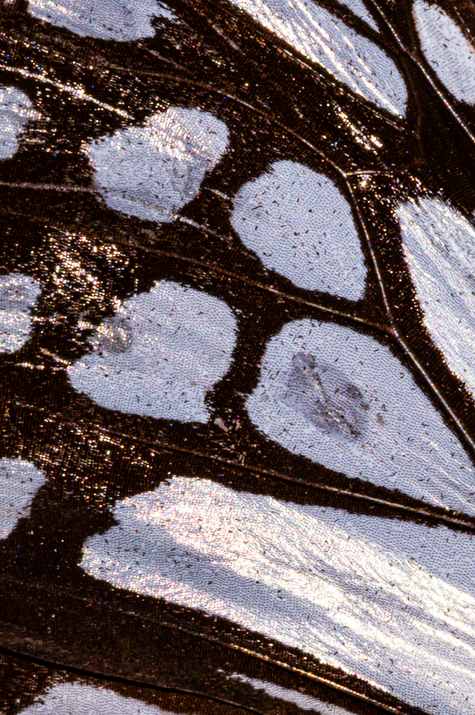 Screenshot 2025-12-20 231316.png